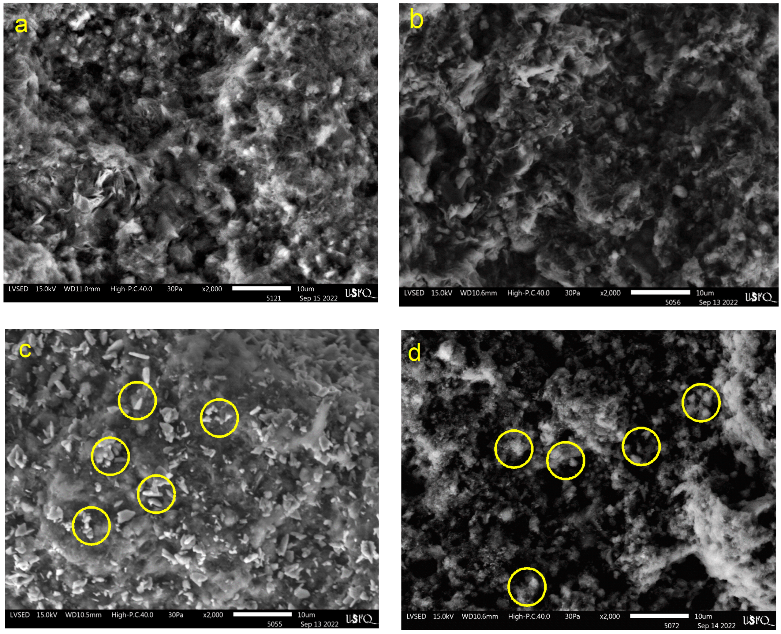 Polymers 16 01912 g002