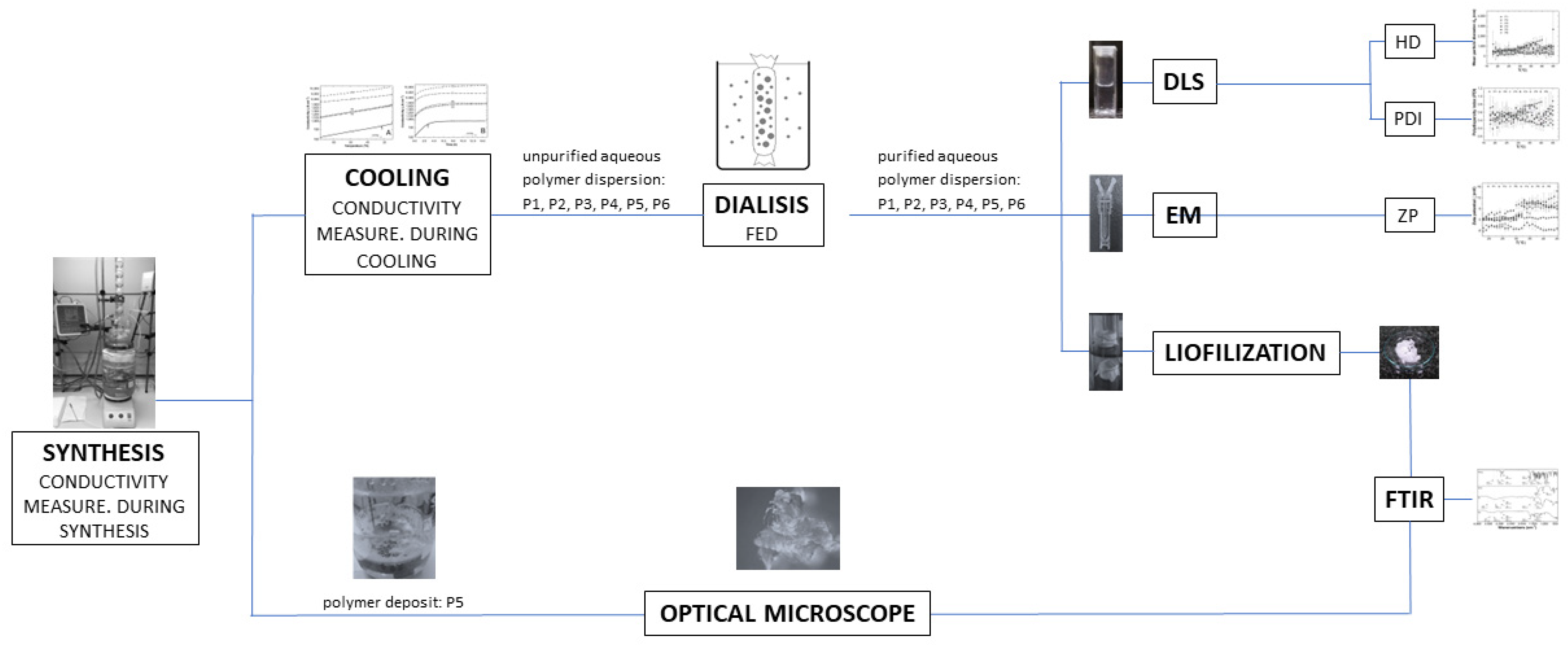 Polymers 16 01917 g001