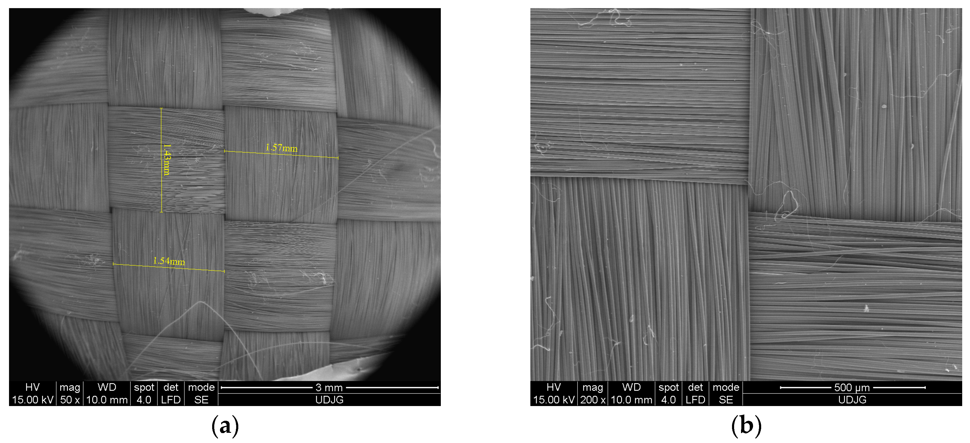 Polymers 16 01920 g001