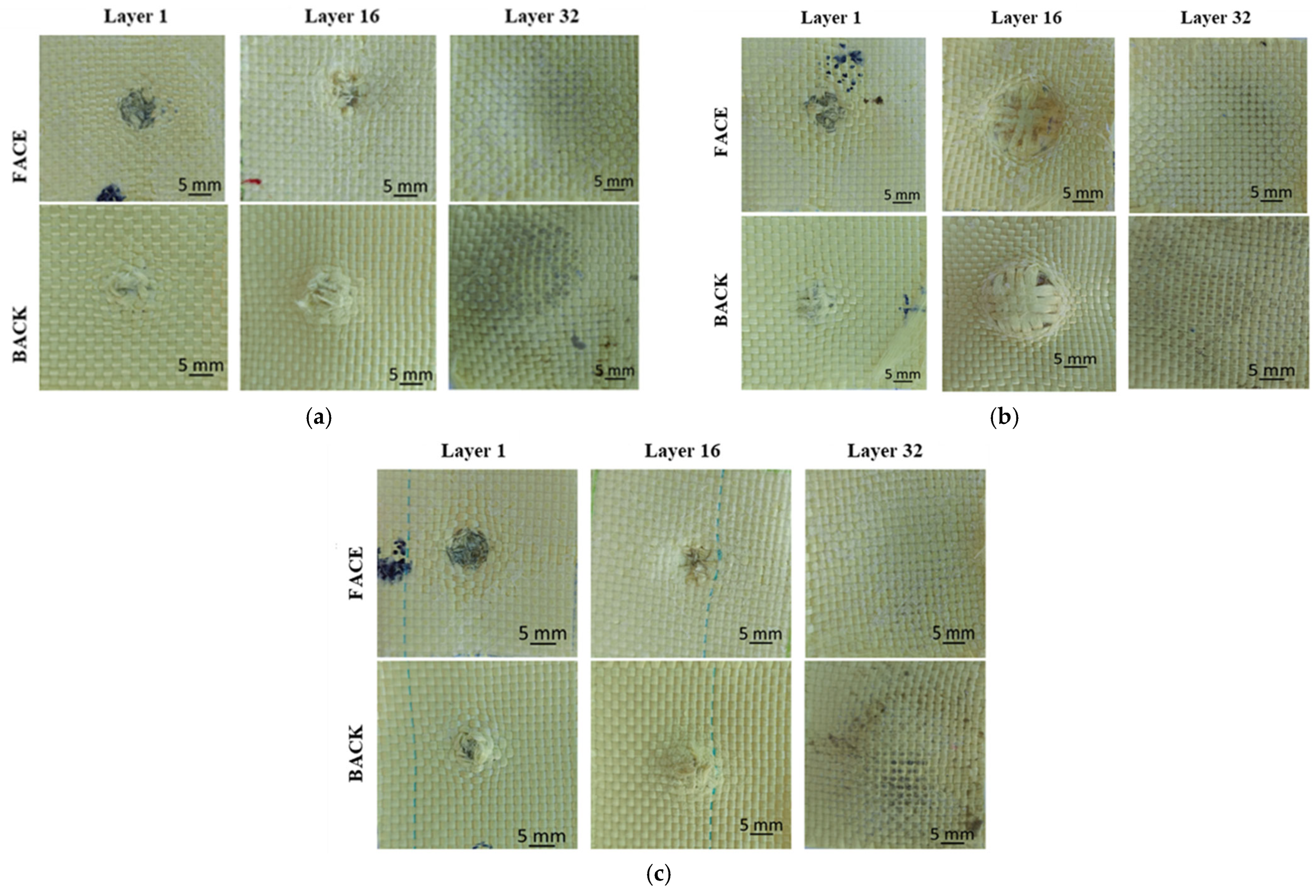 Polymers 16 01920 g005