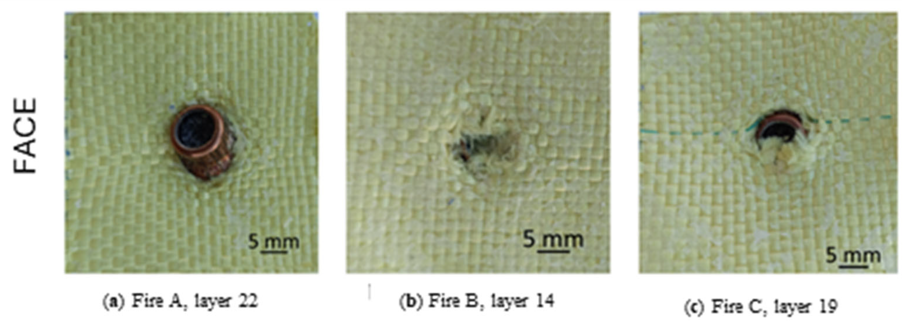 Polymers 16 01920 g006