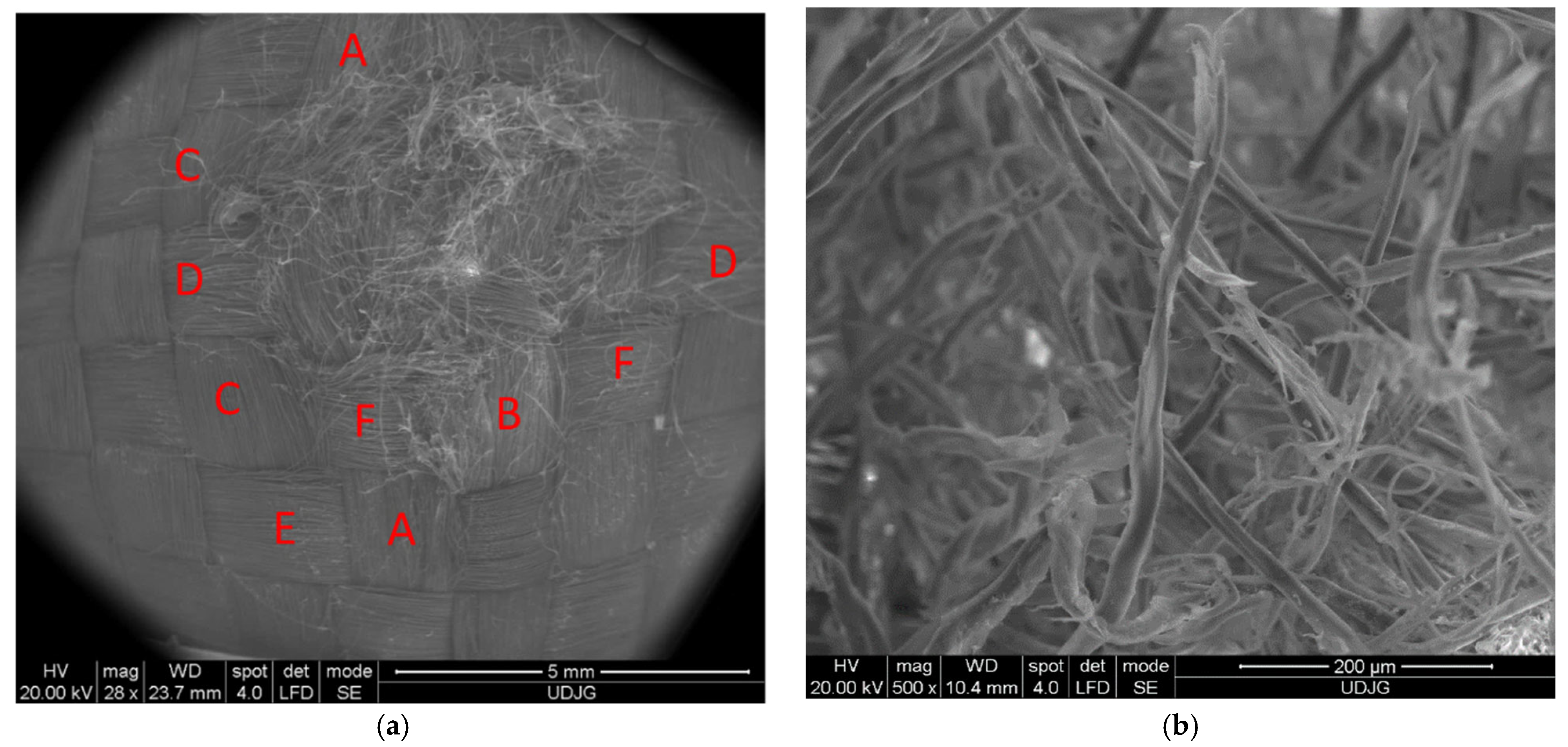Polymers 16 01920 g011