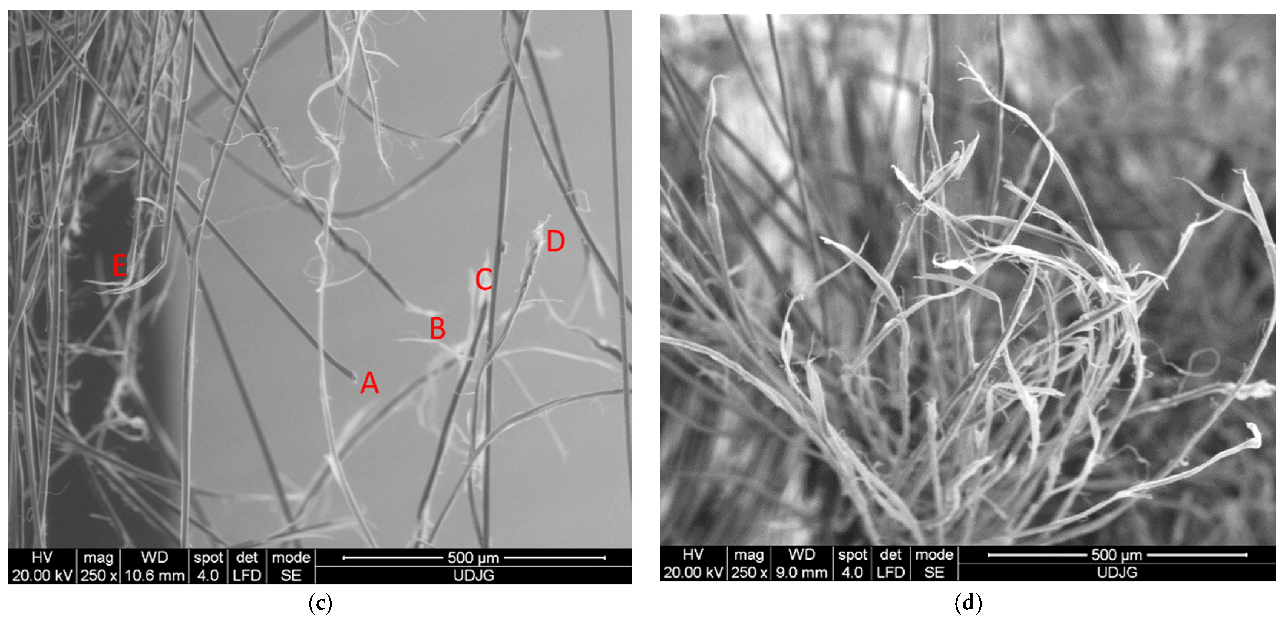 Polymers 16 01920 g012b