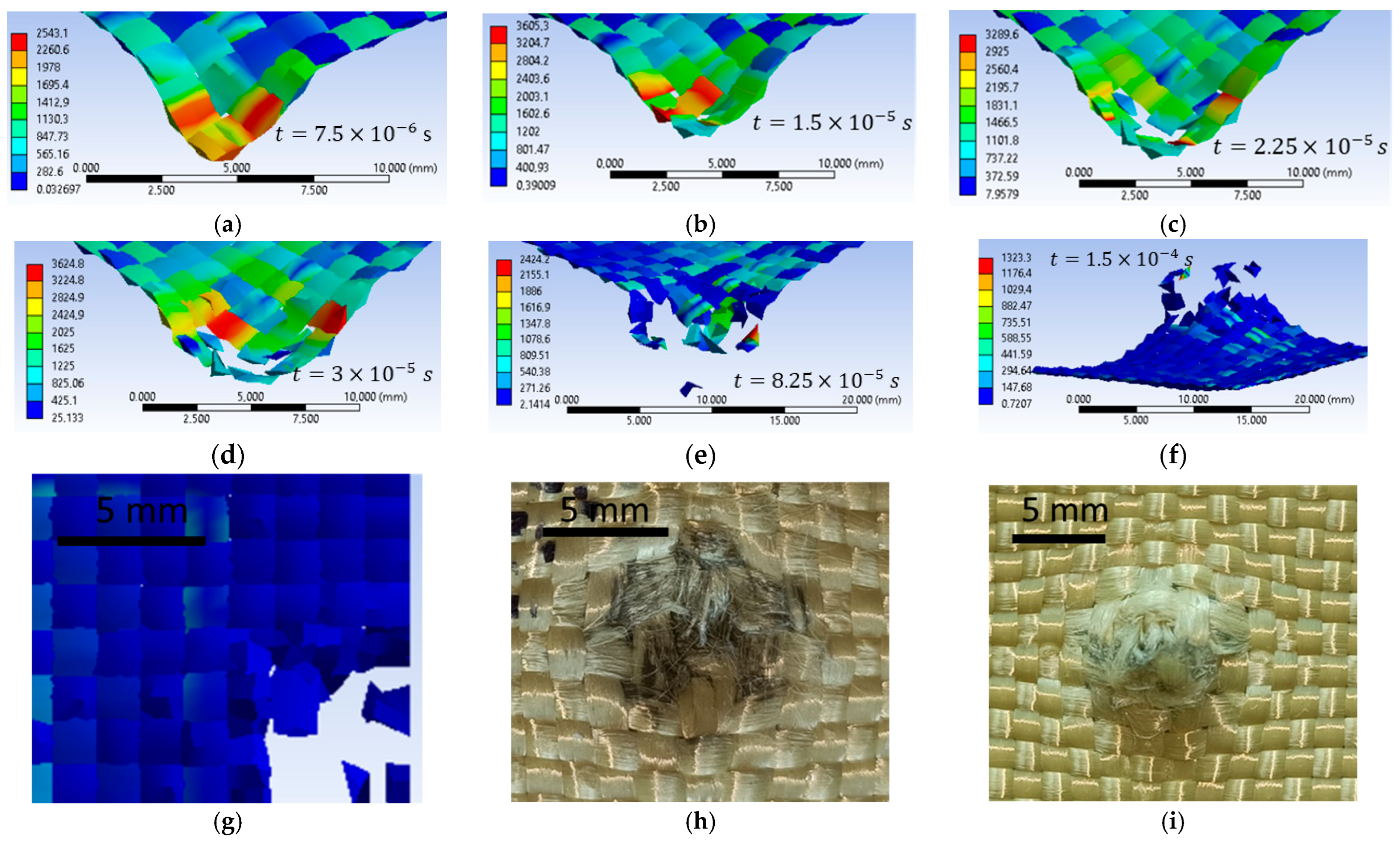 Polymers 16 01920 g020