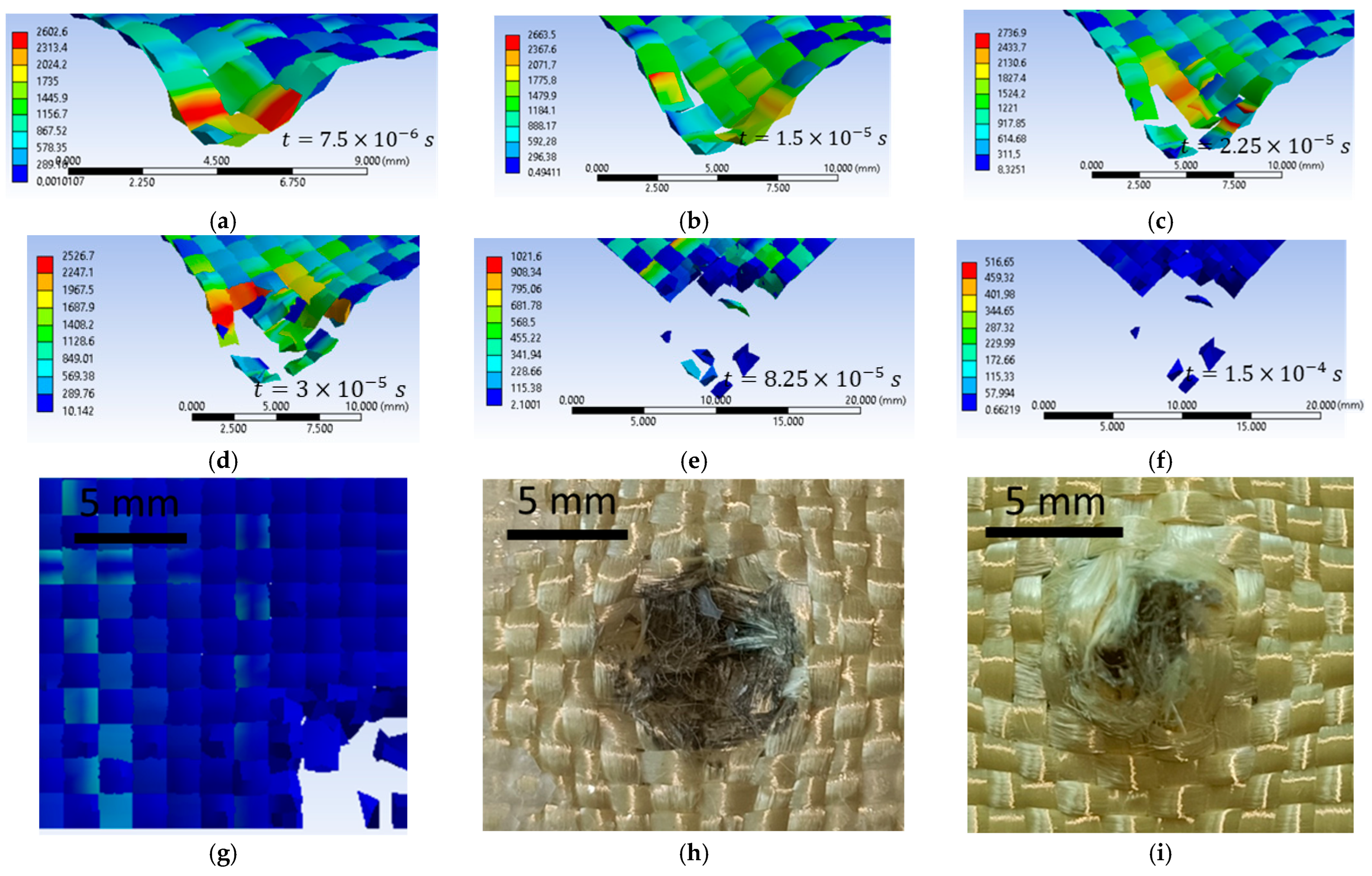 Polymers 16 01920 g021