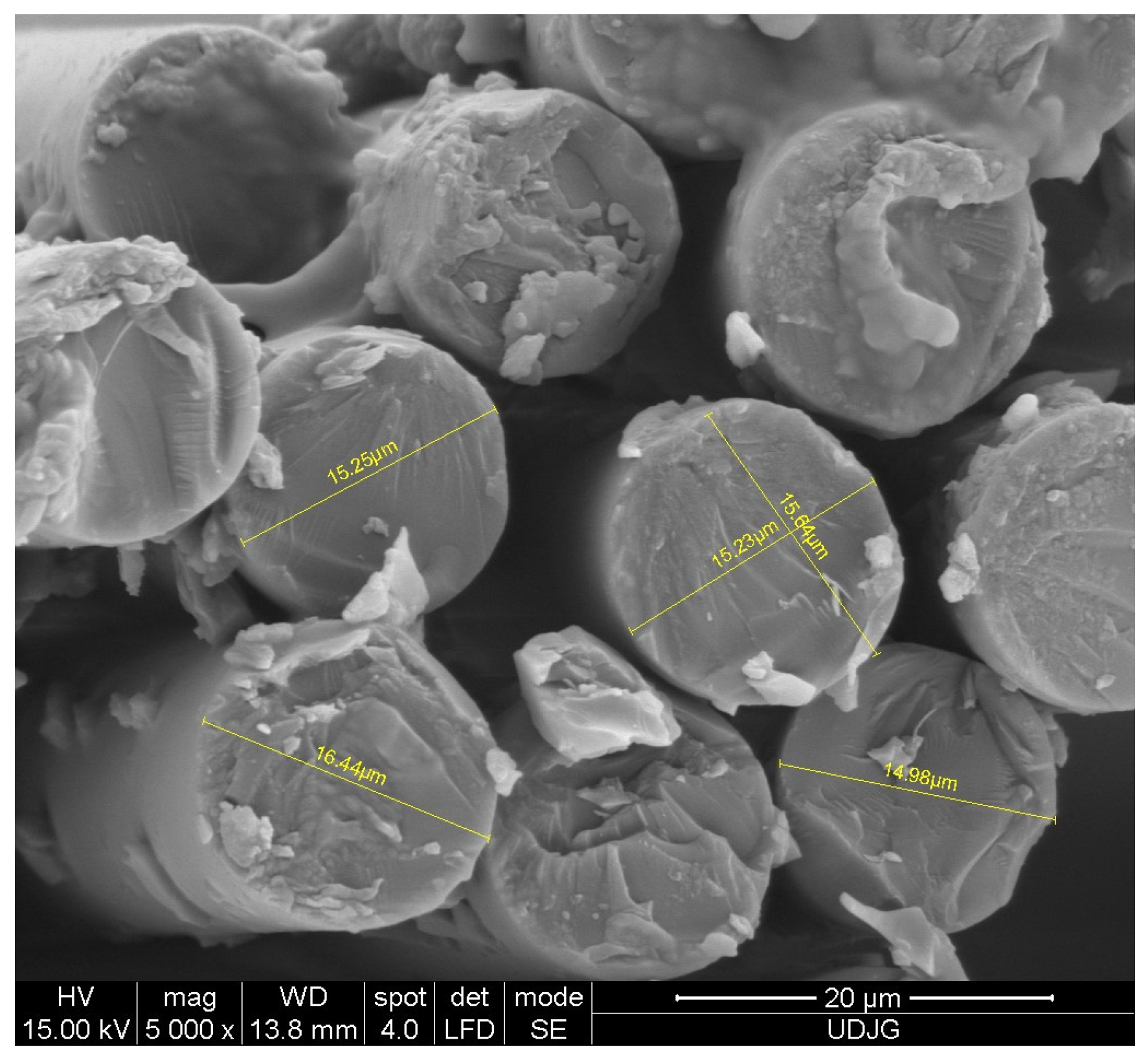 Polymers 16 01925 g001