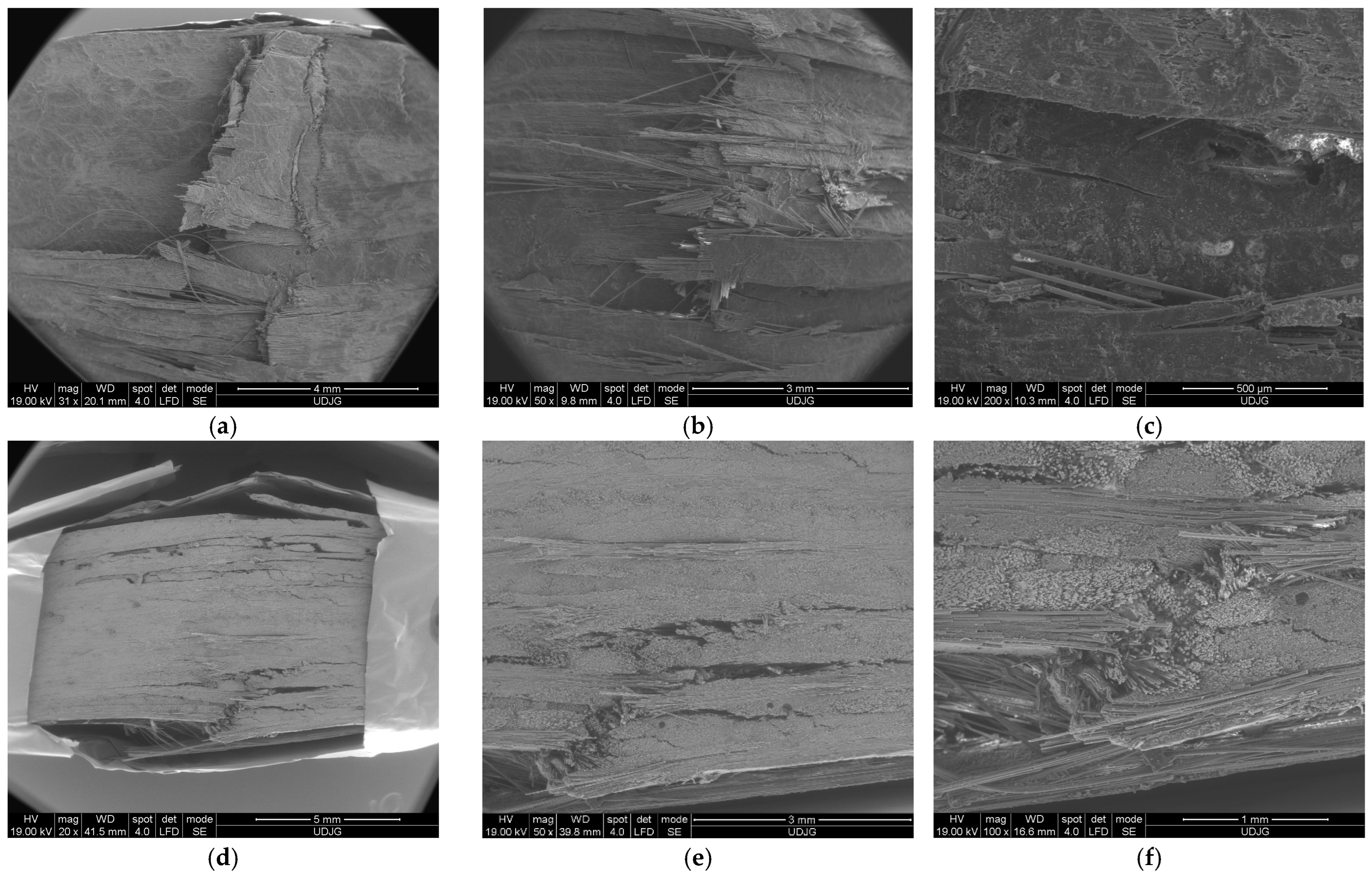 Polymers 16 01925 g011