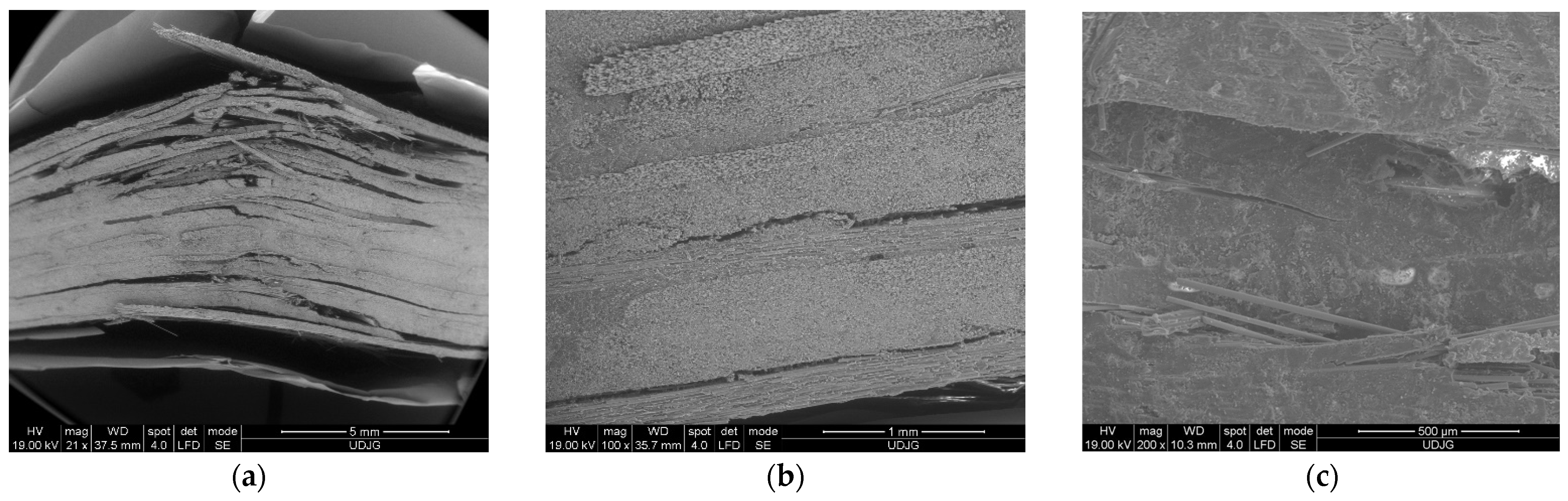 Polymers 16 01925 g012