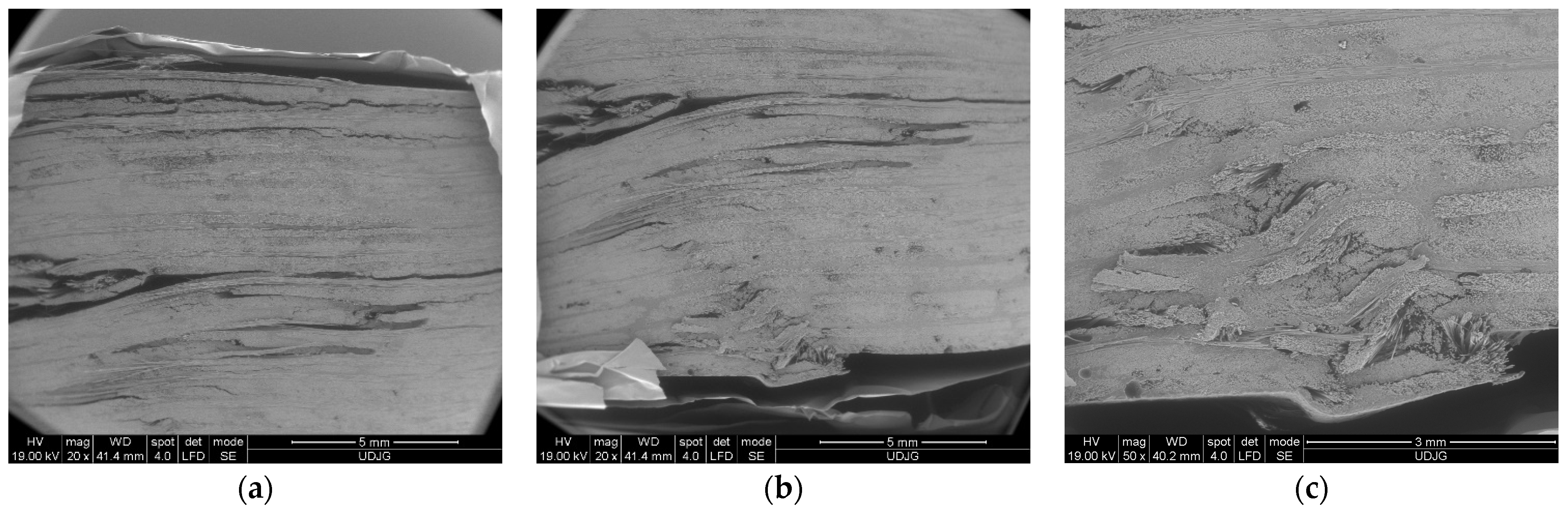 Polymers 16 01925 g013