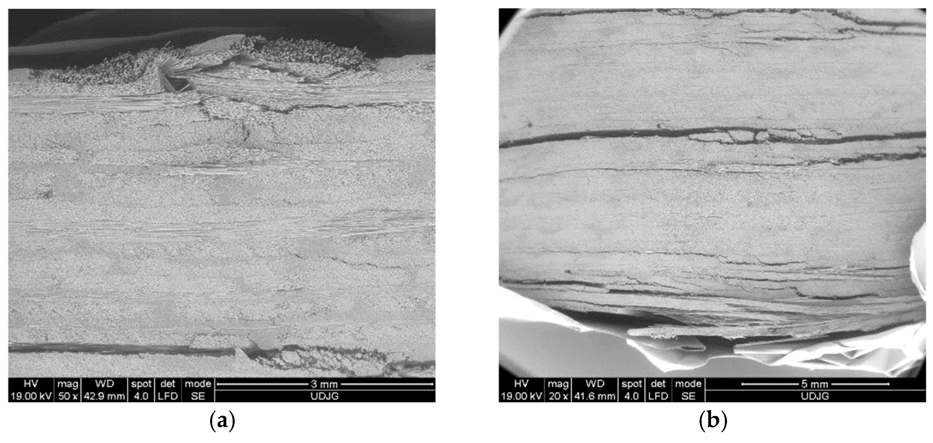 Polymers 16 01925 g014