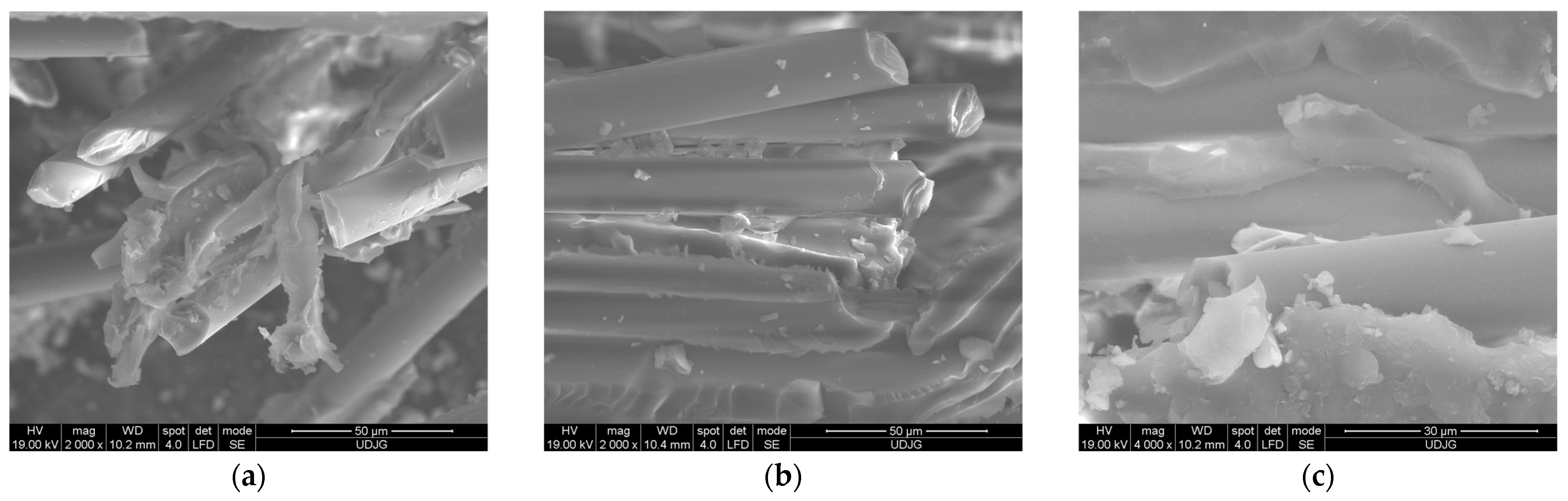 Polymers 16 01925 g015