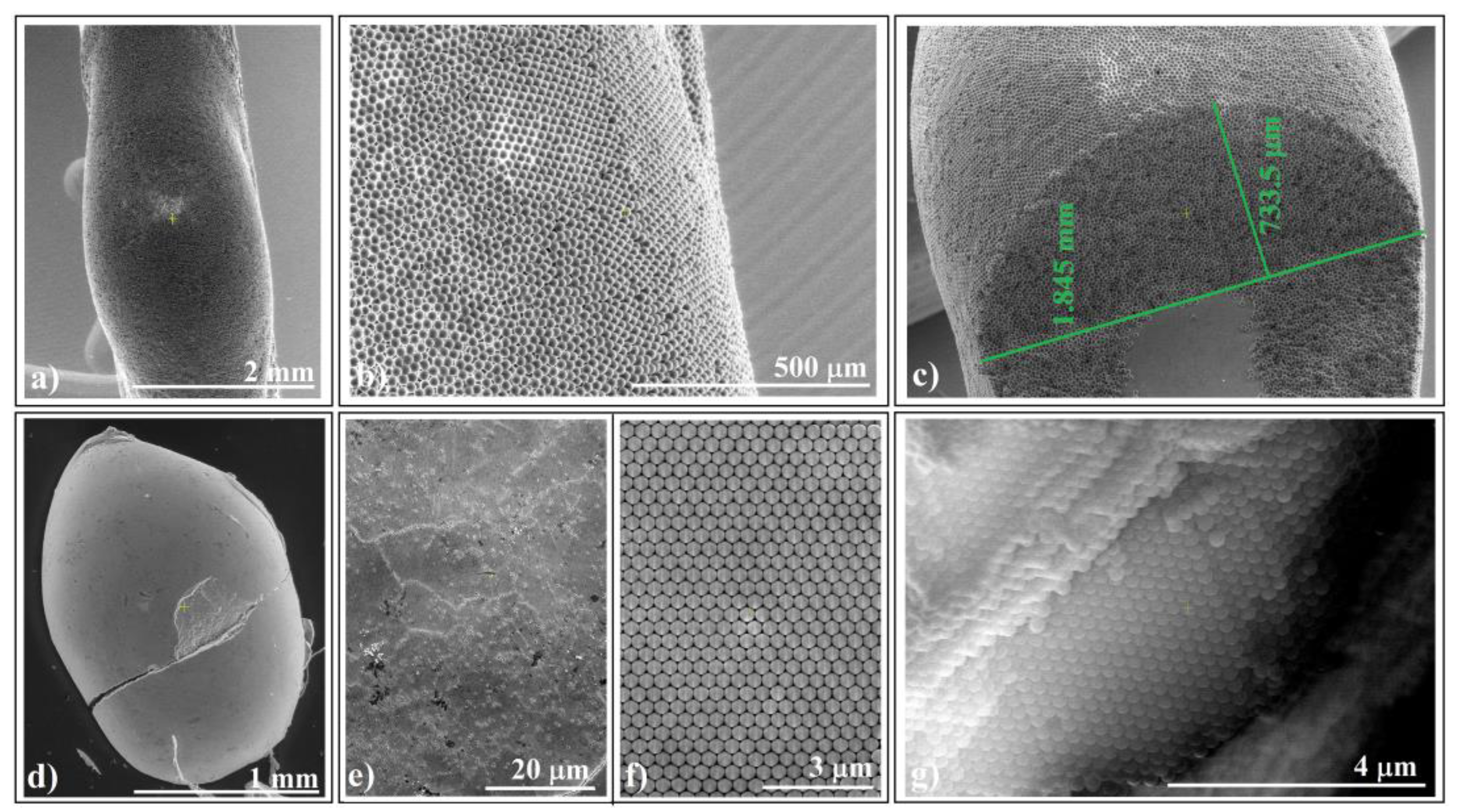 Polymers 16 01931 g003
