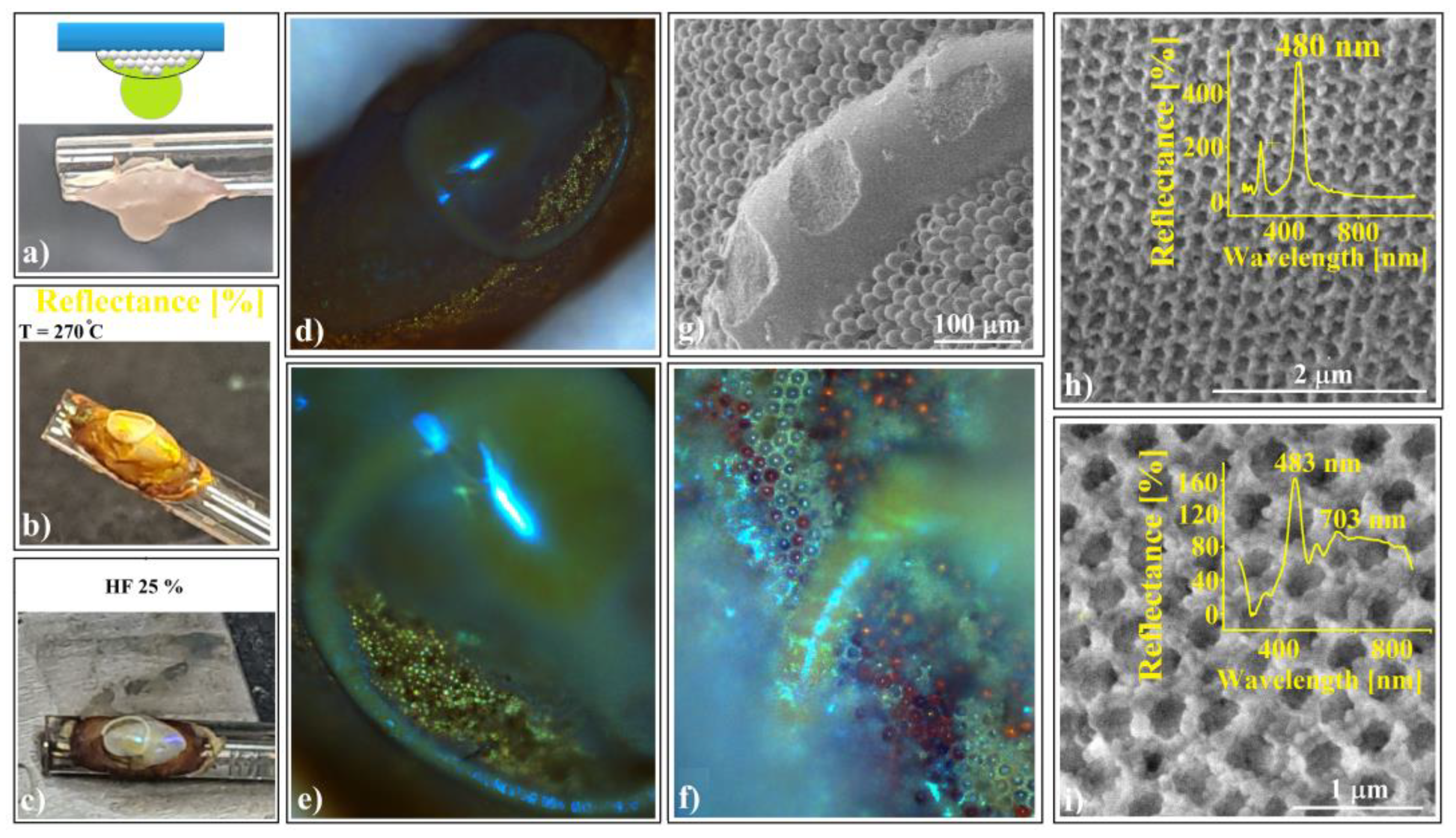 Polymers 16 01931 g009