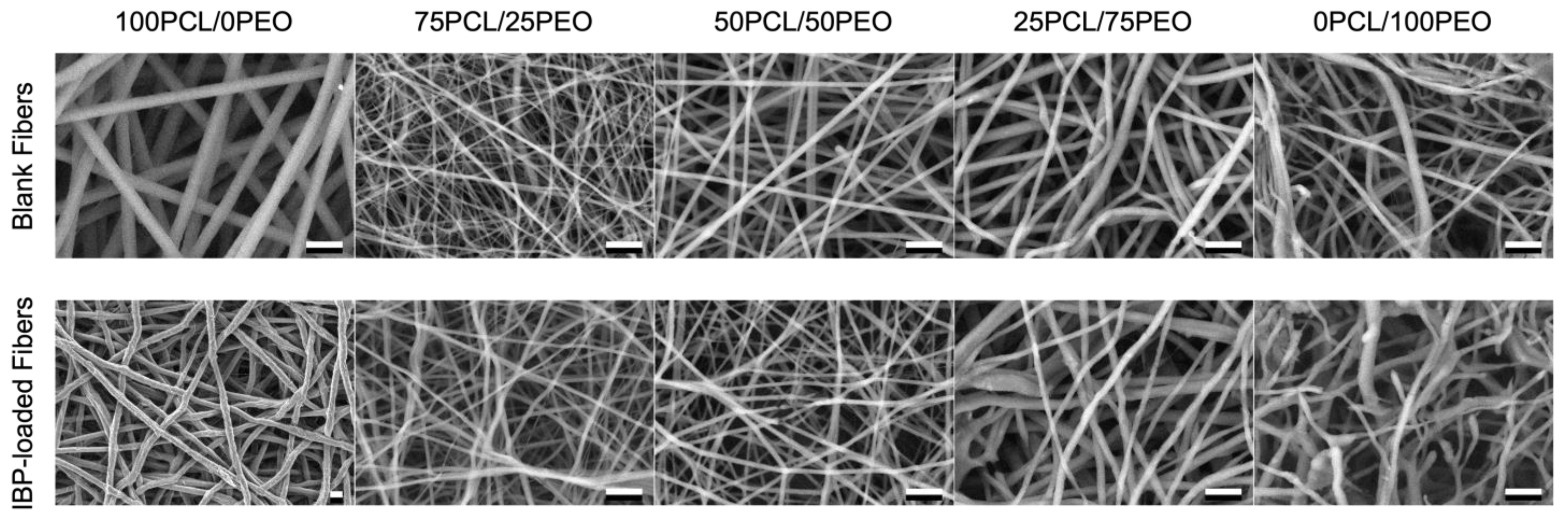 Polymers 16 01934 g002 Polymers 16 01934 g002