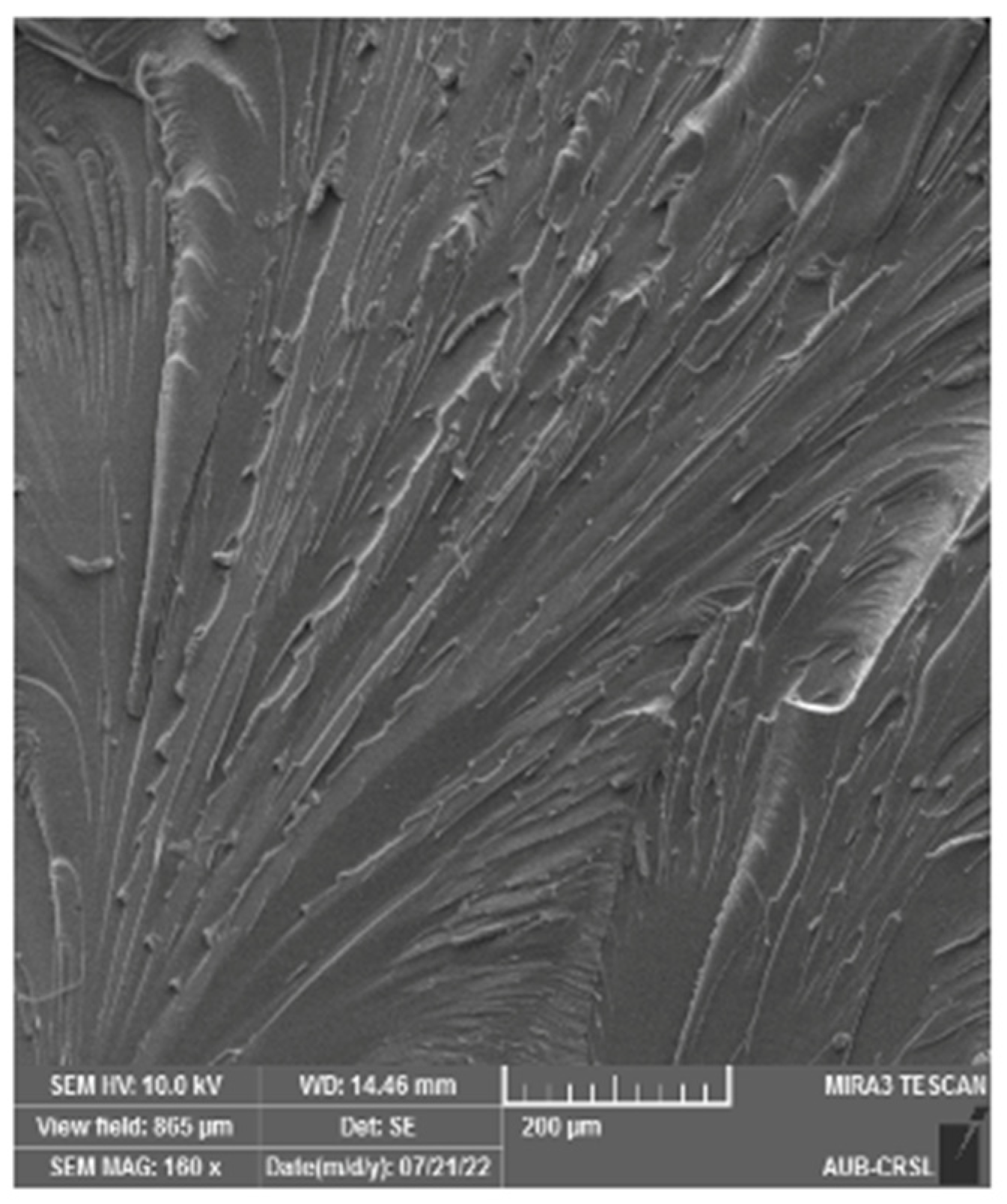 Polymers 16 01935 g006