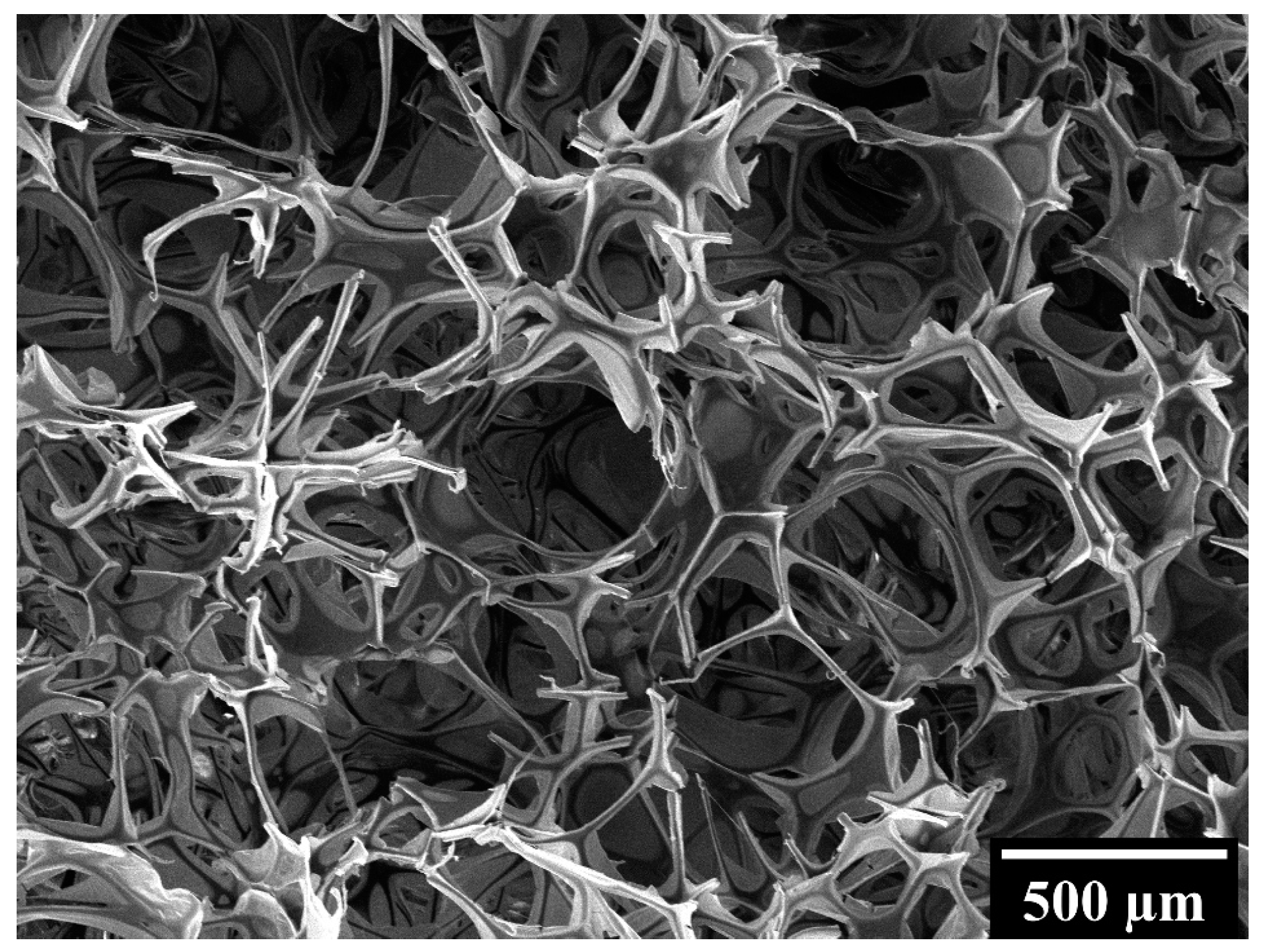 Polymers 16 01939 g003