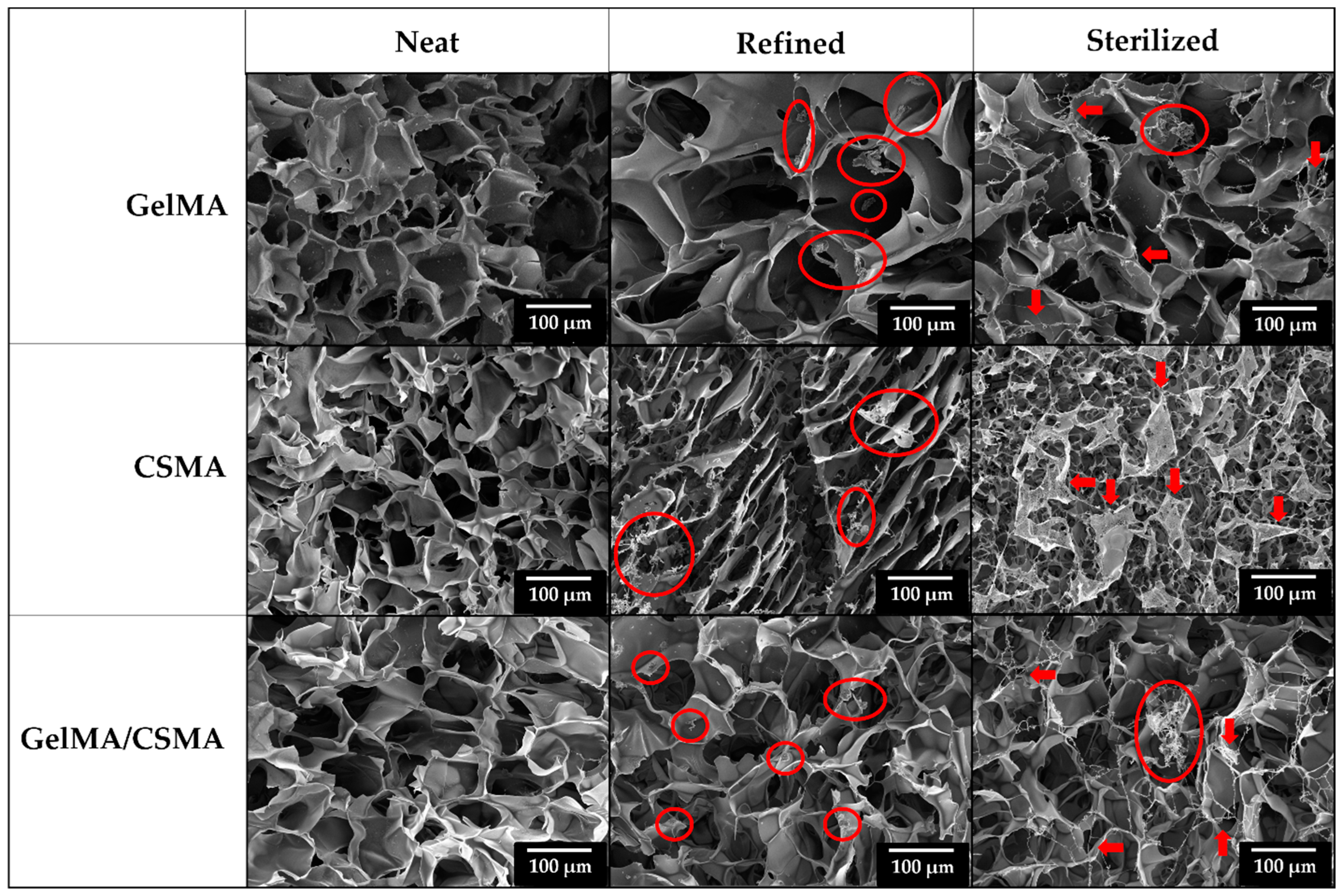 Polymers 16 01939 g004