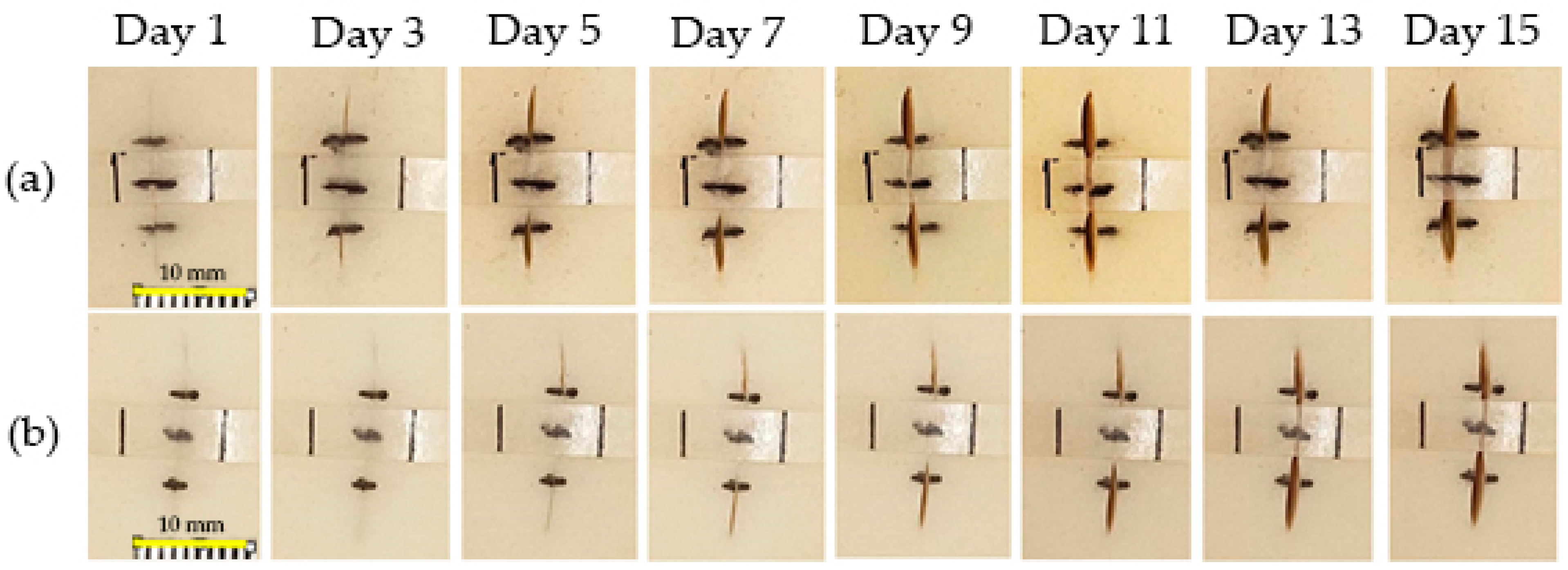 Polymers 16 01941 g009
