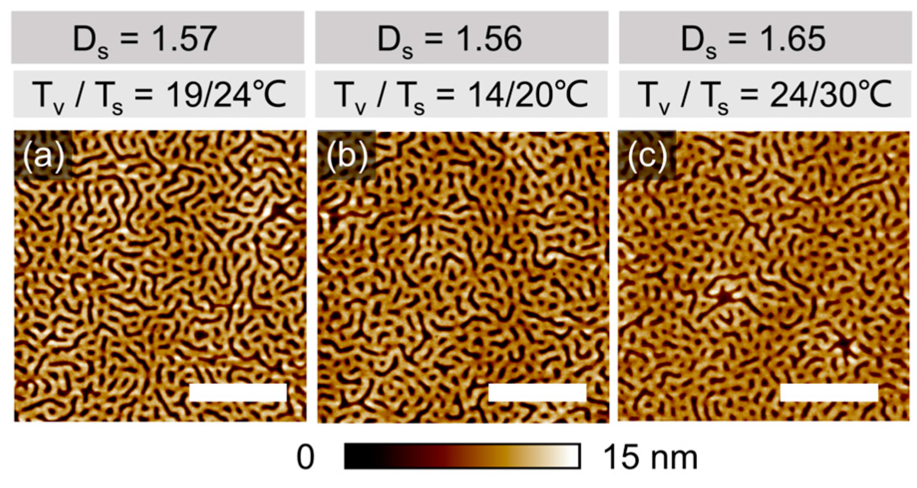 Polymers 16 01943 g002