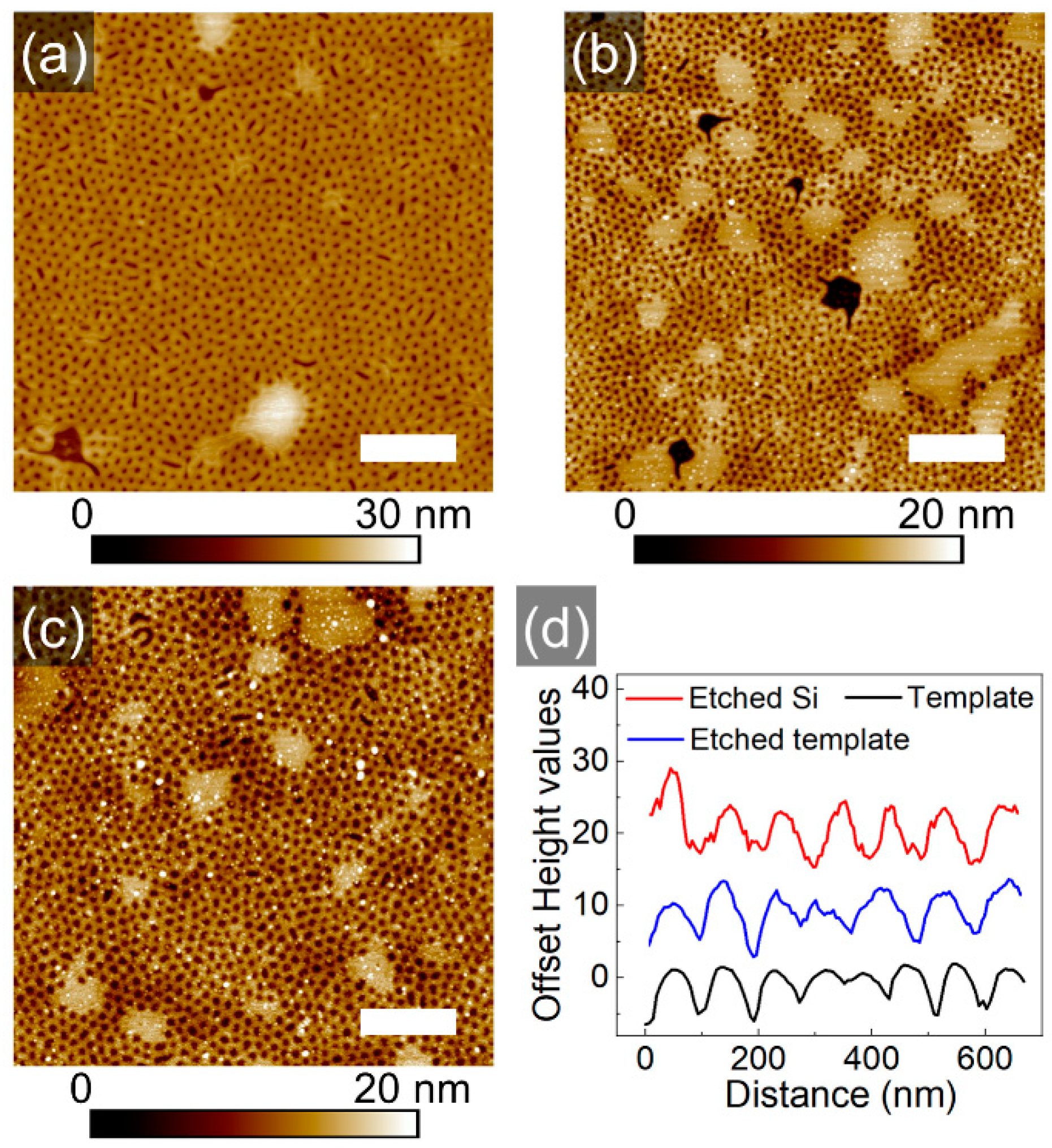 Polymers 16 01943 g006