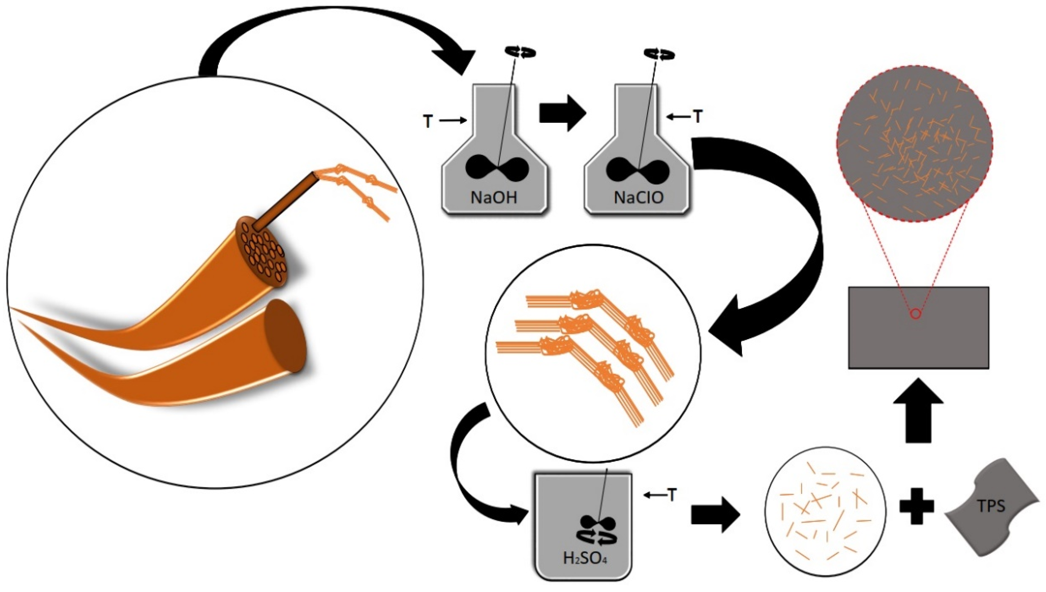 Polymers 16 01947 g001 Polymers 16 01947 g001
