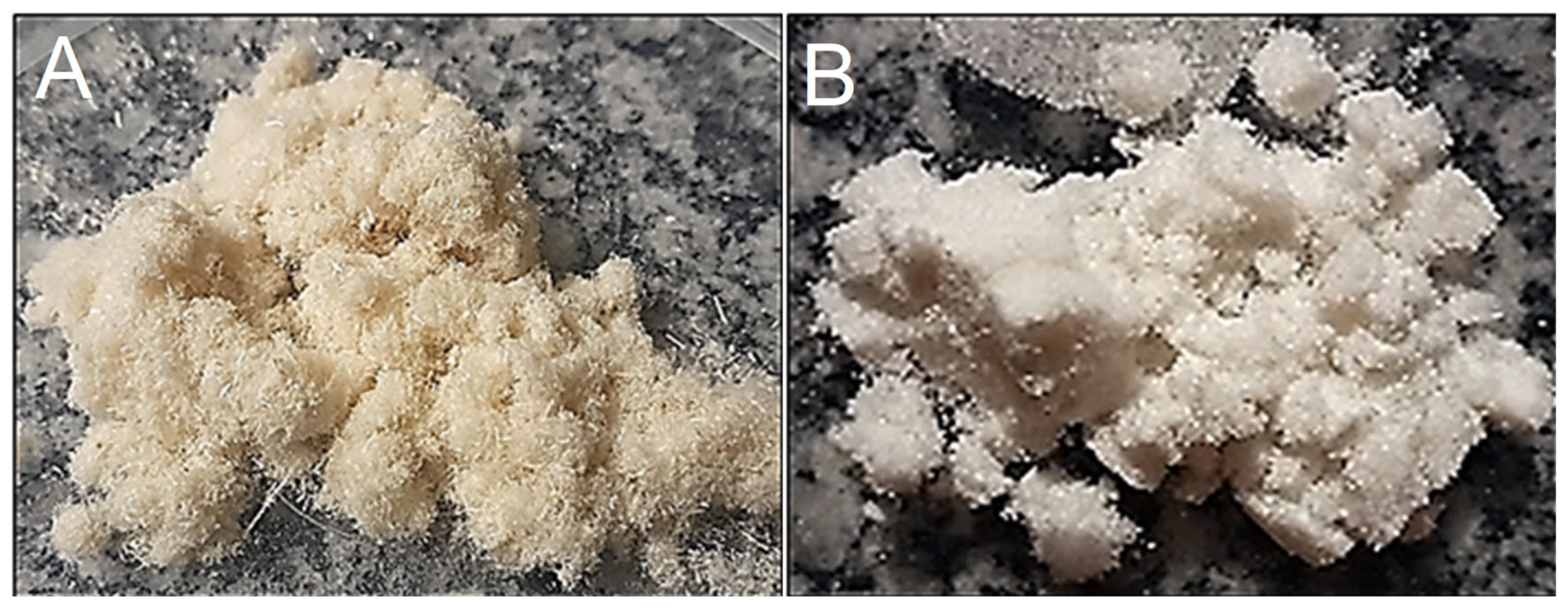 Polymers 16 01947 g002 Polymers 16 01947 g002