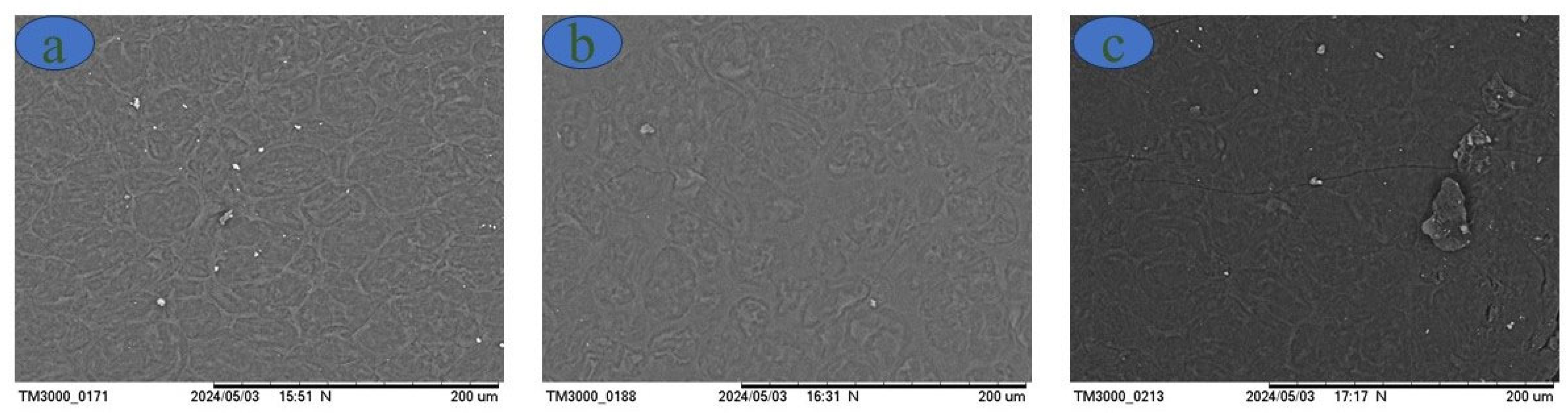Polymers 16 01947 g004 Polymers 16 01947 g004