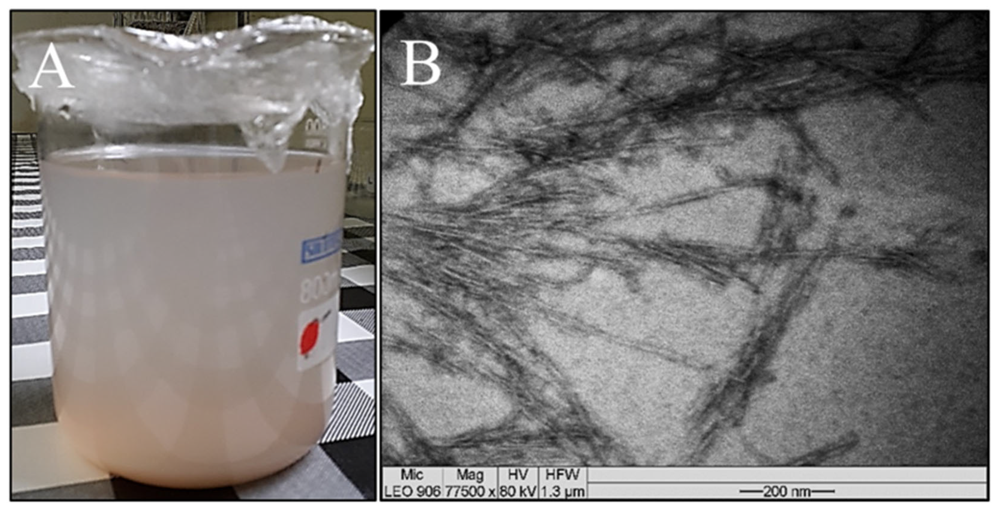 Polymers 16 01947 g005 Polymers 16 01947 g005