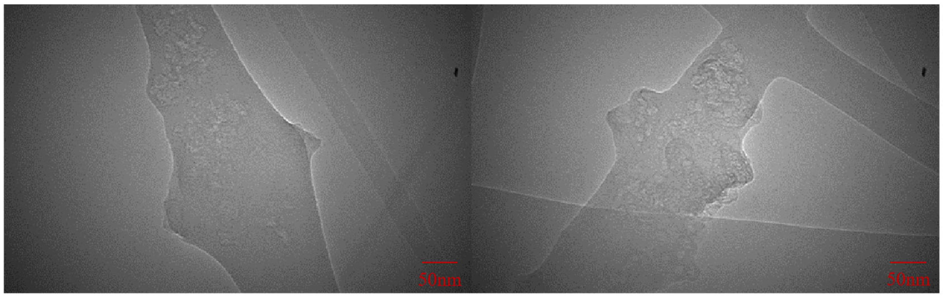 Polymers 16 01952 g006