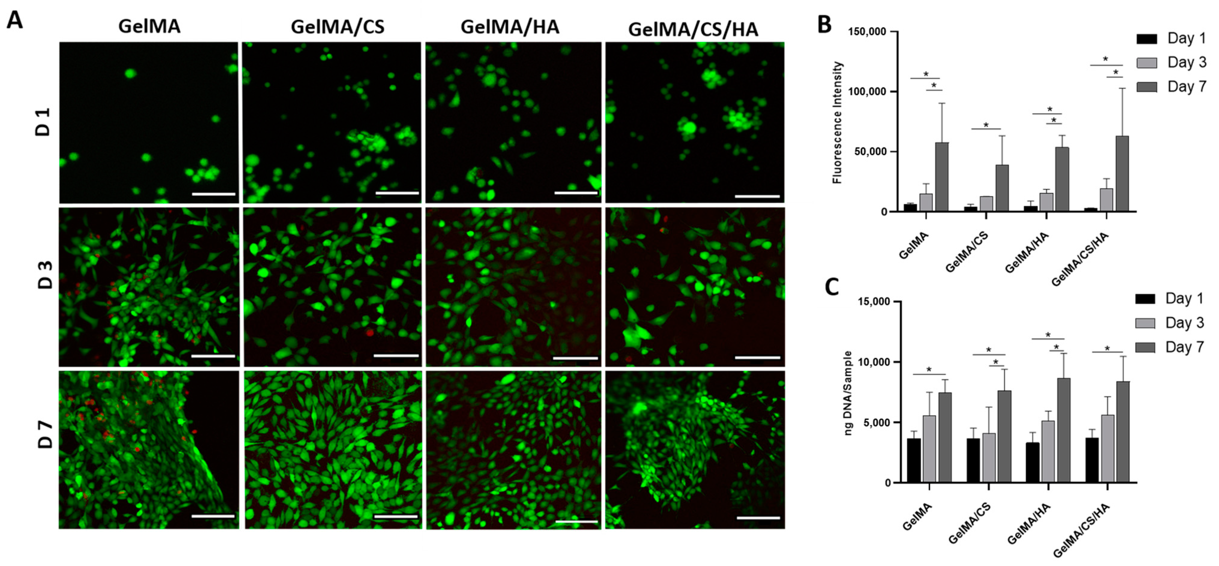 Polymers 16 01958 g005