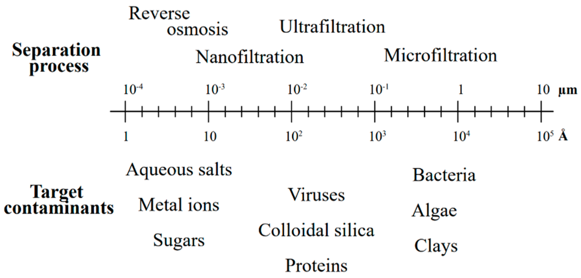 Polymers 16 01959 g004