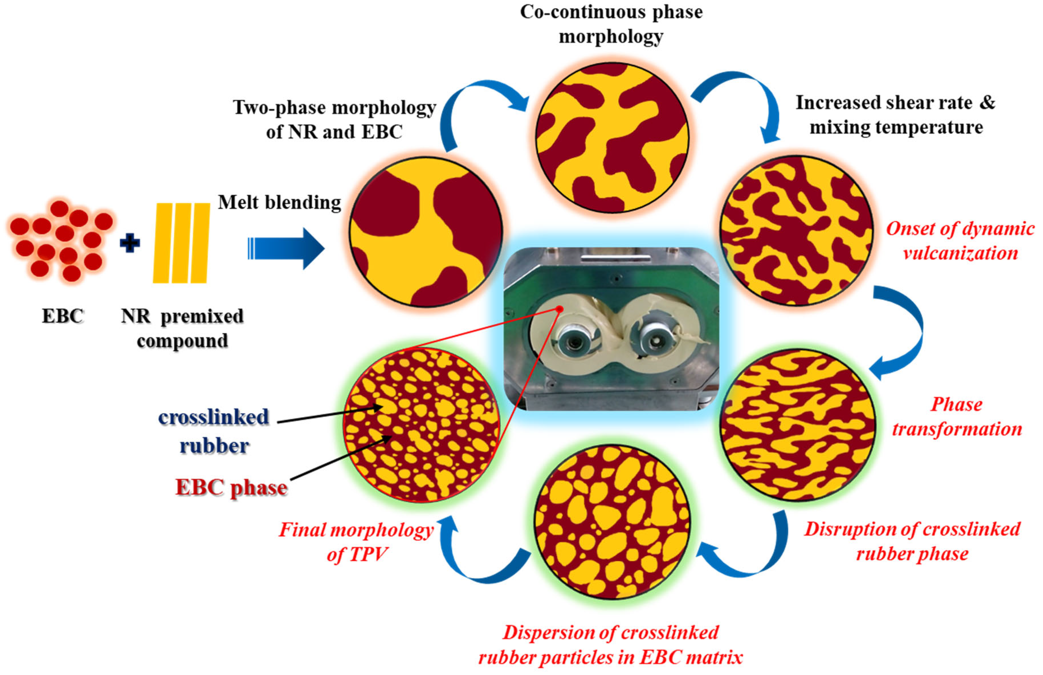 Polymers 16 01963 g009