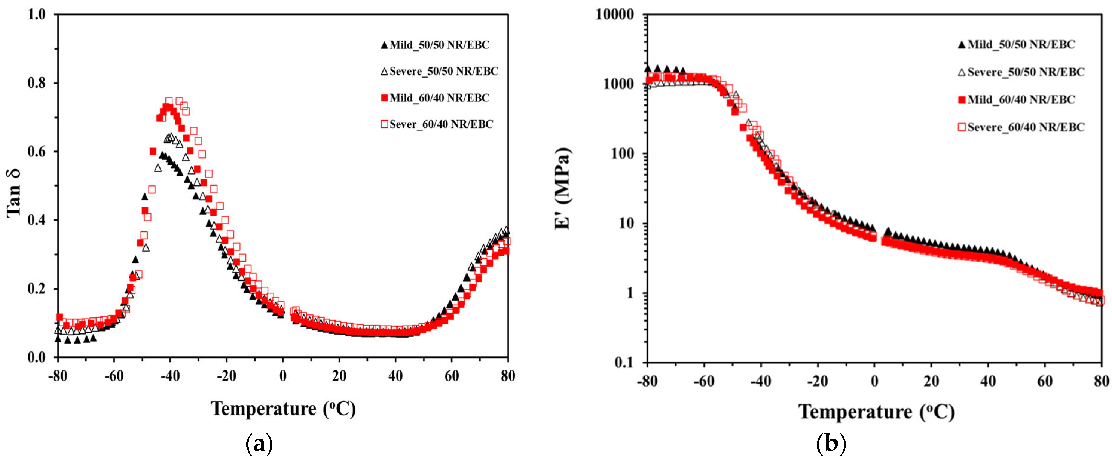 Polymers 16 01963 g012