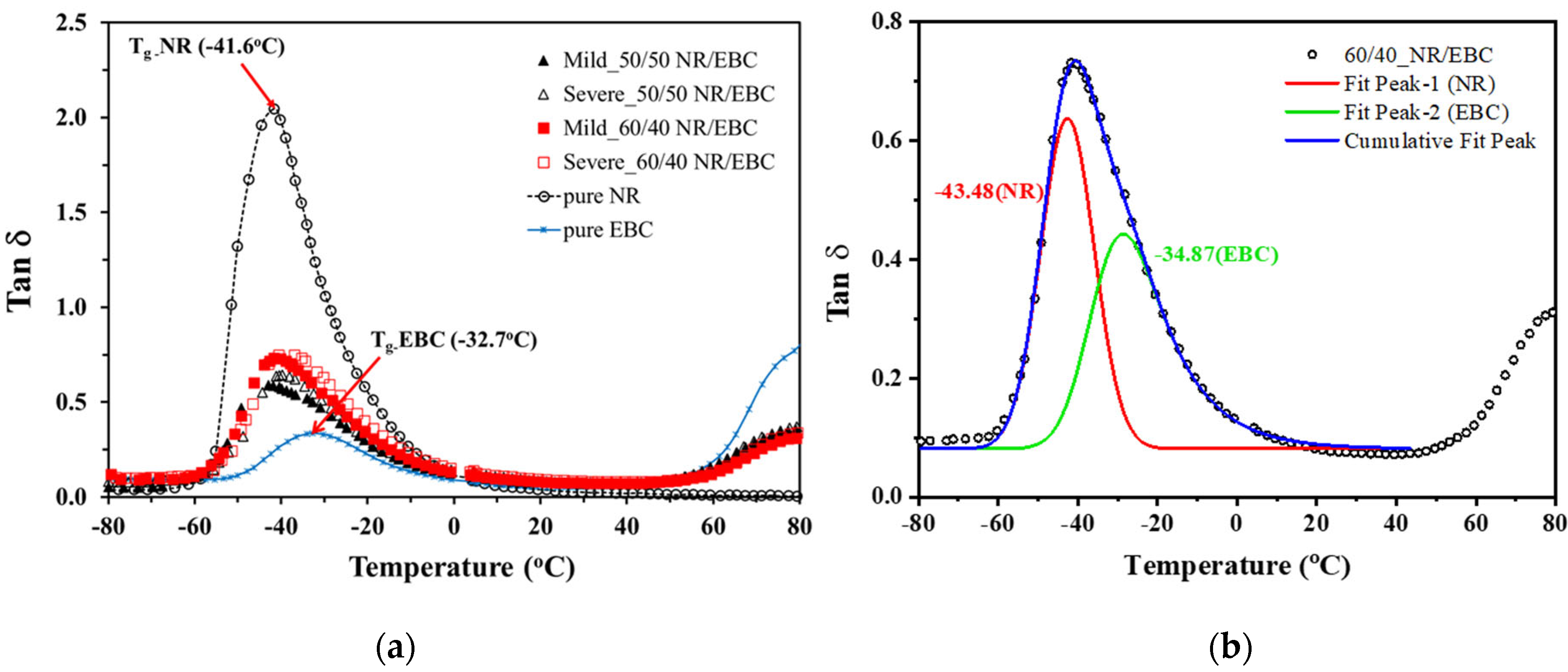 Polymers 16 01963 g013