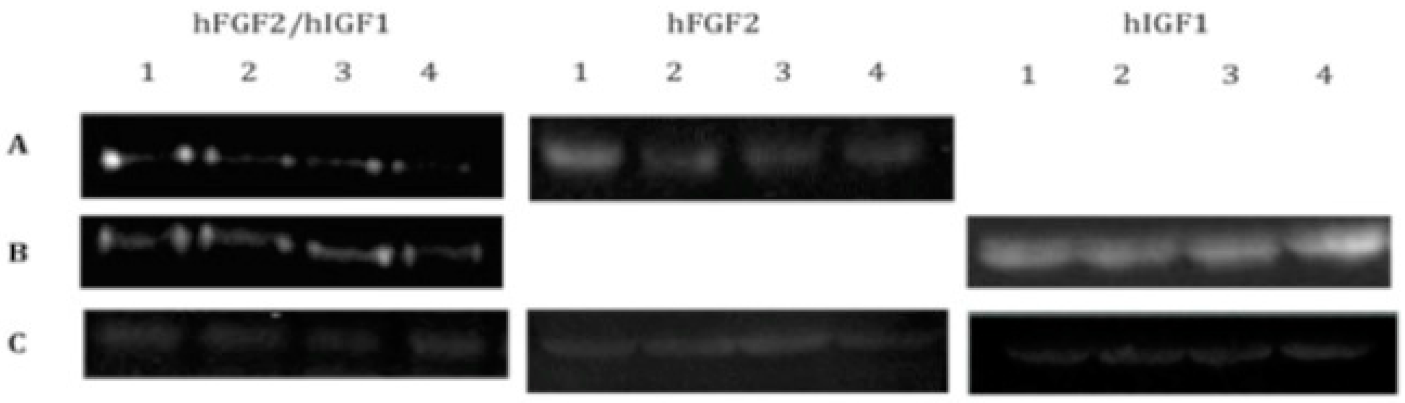 Polymers 16 01968 g001