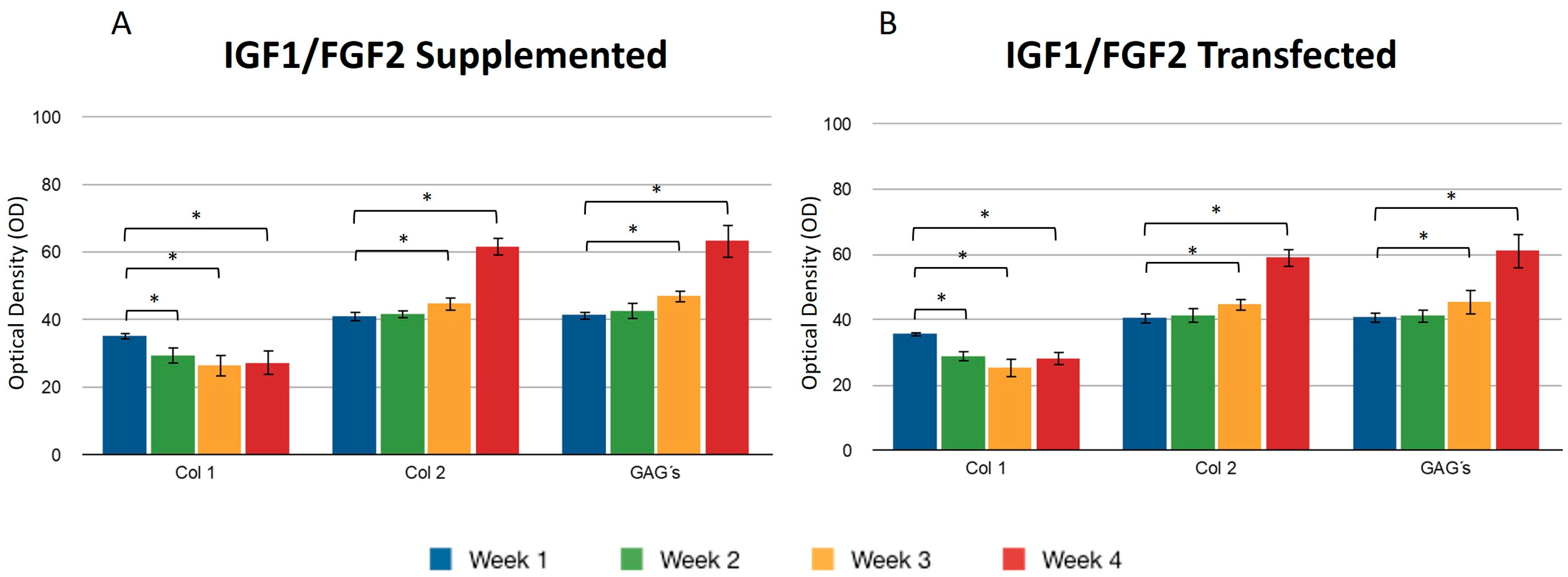 Polymers 16 01968 g005