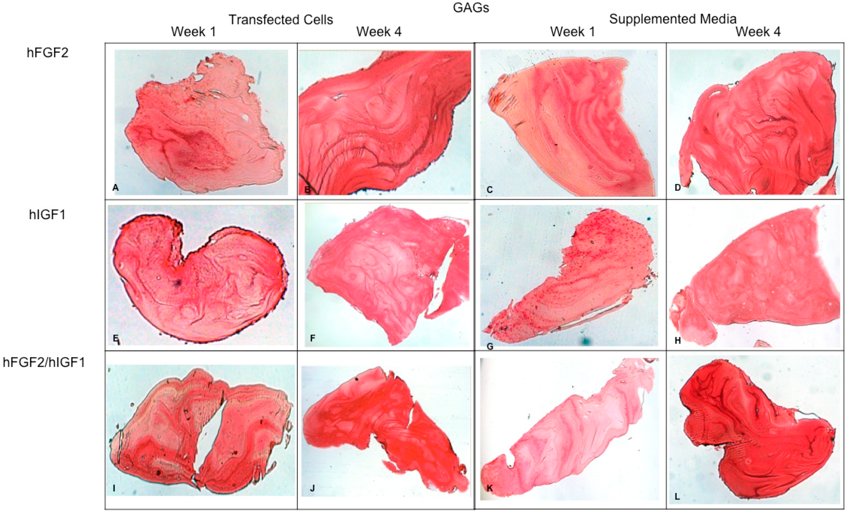 Polymers 16 01968 g009