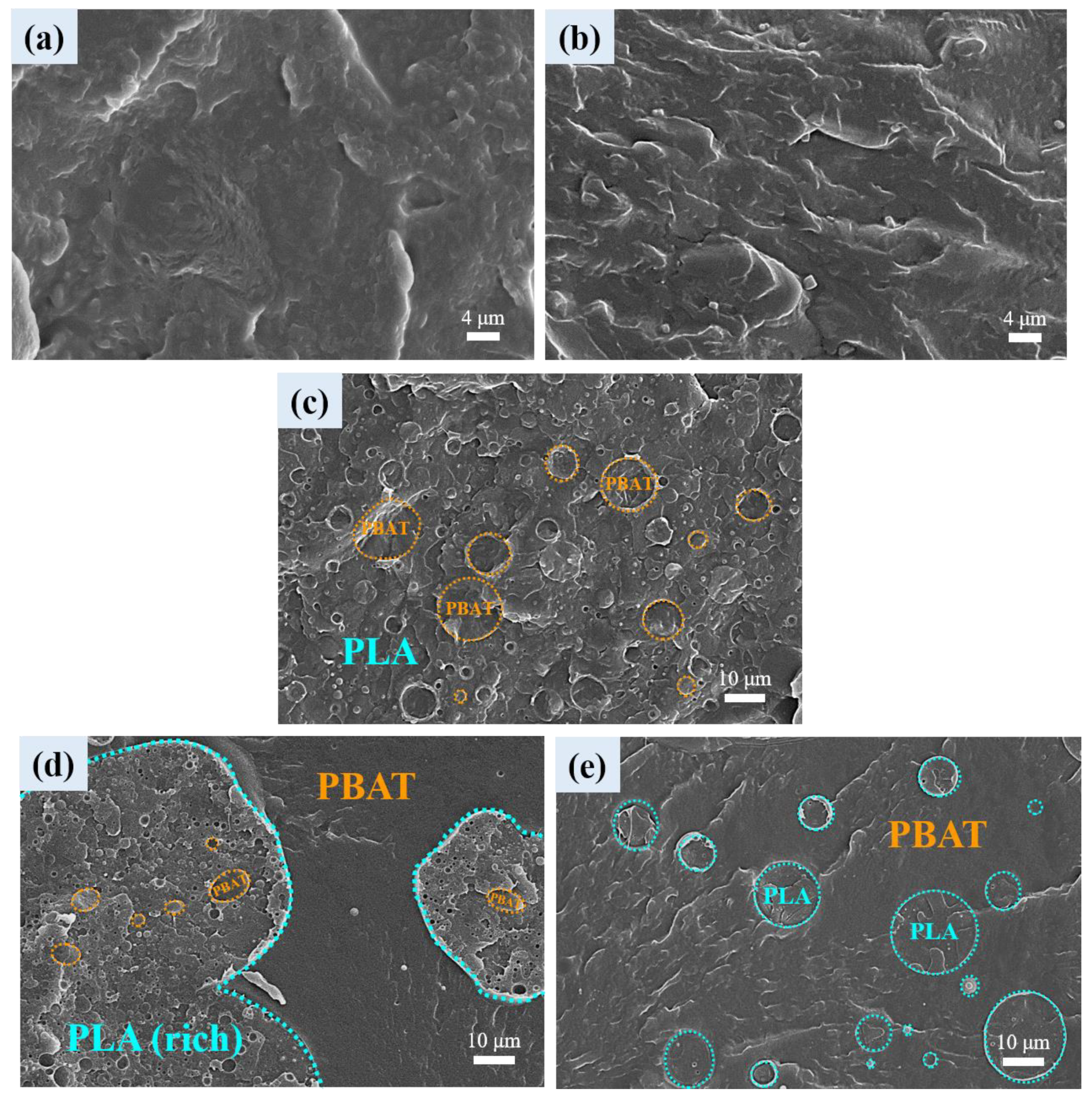 Polymers 16 01971 g001