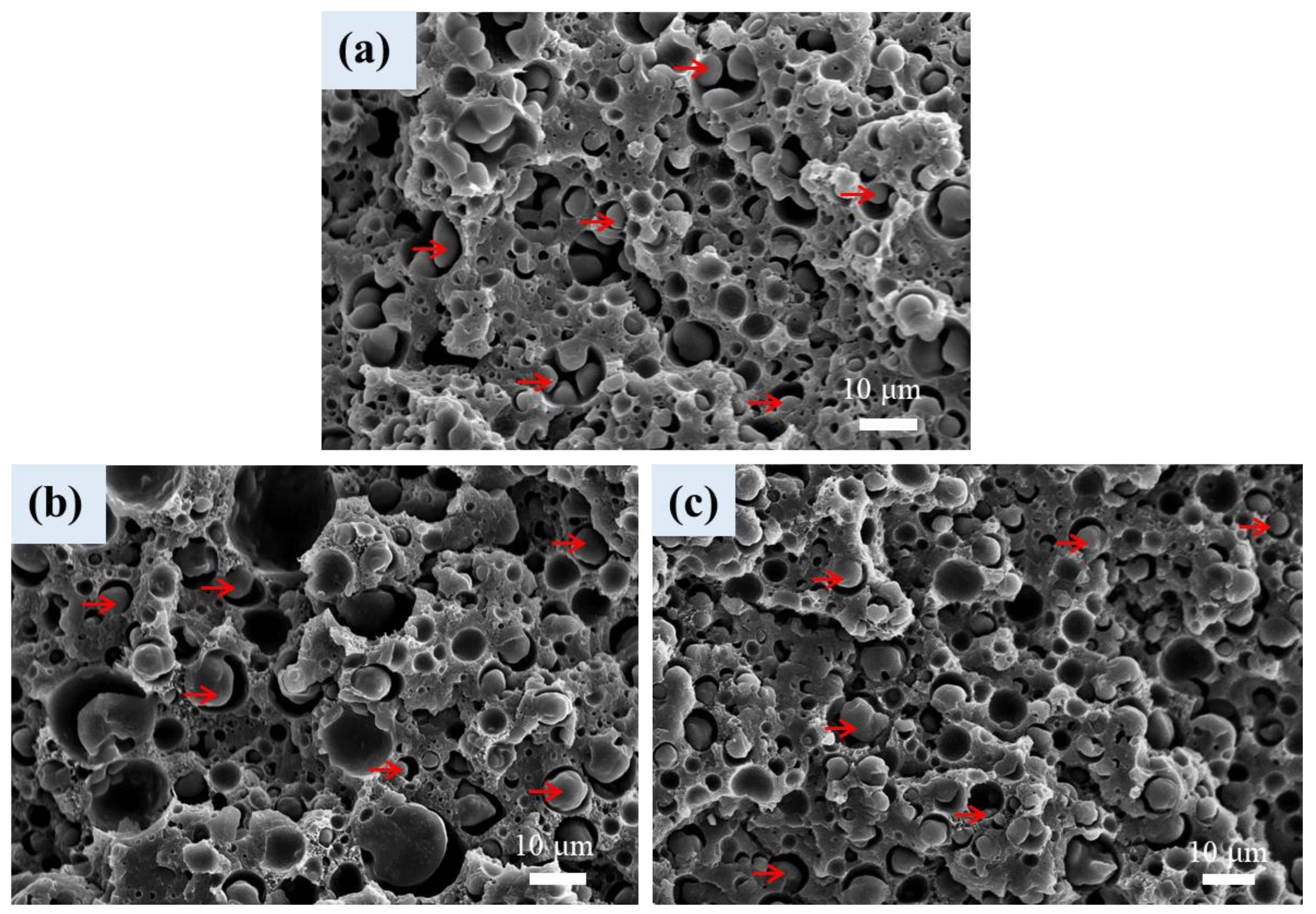 Polymers 16 01971 g007