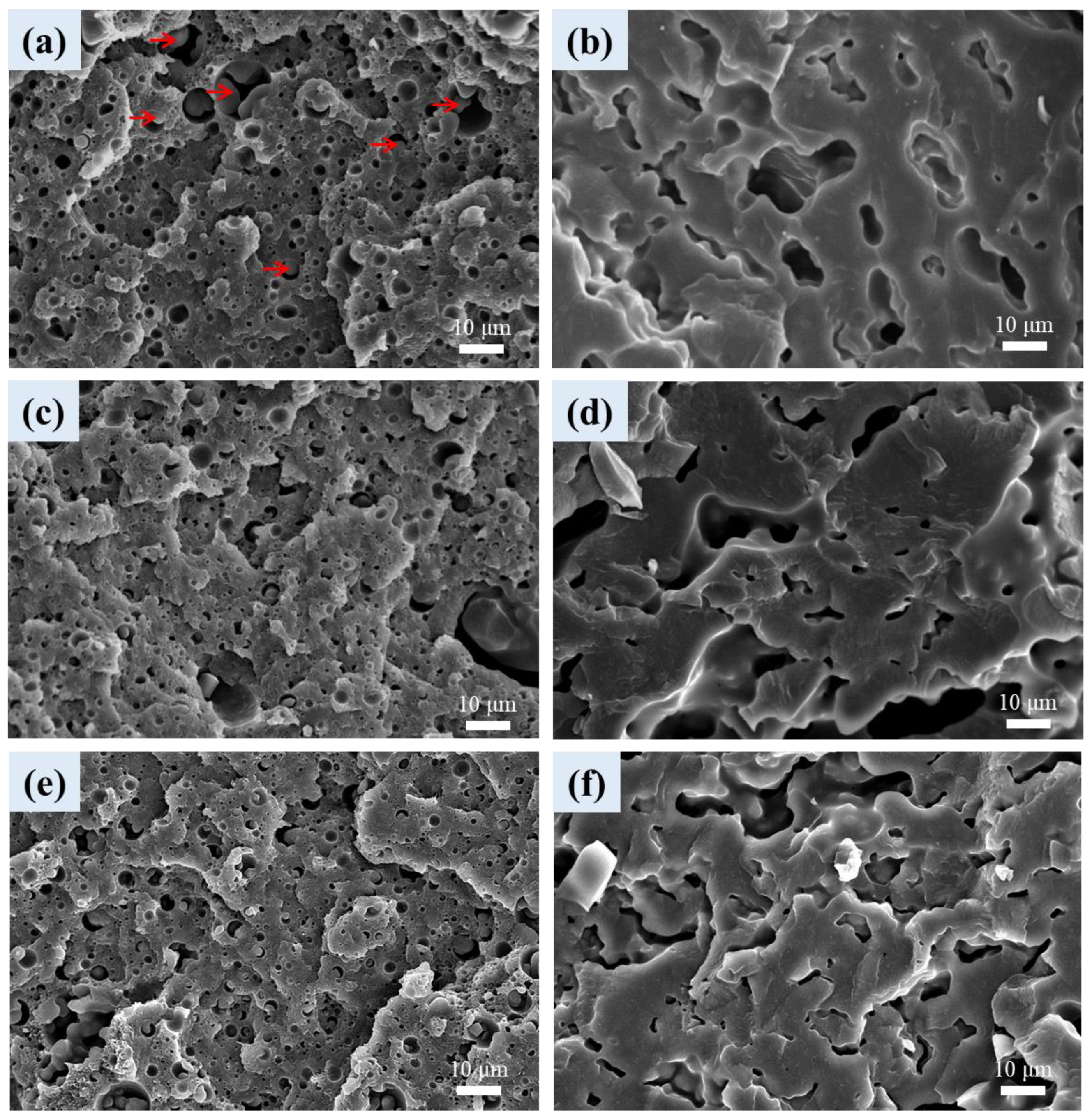 Polymers 16 01971 g008