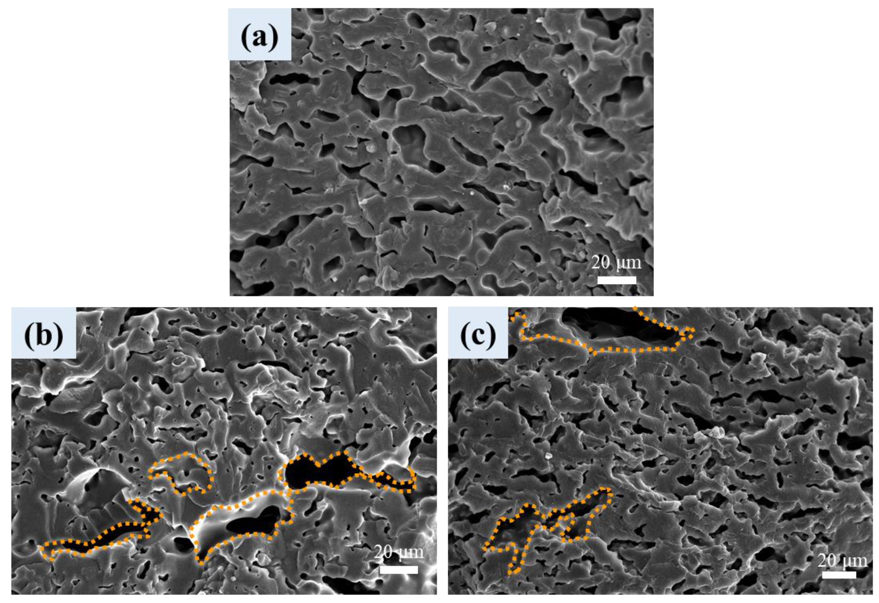 Polymers 16 01971 g009