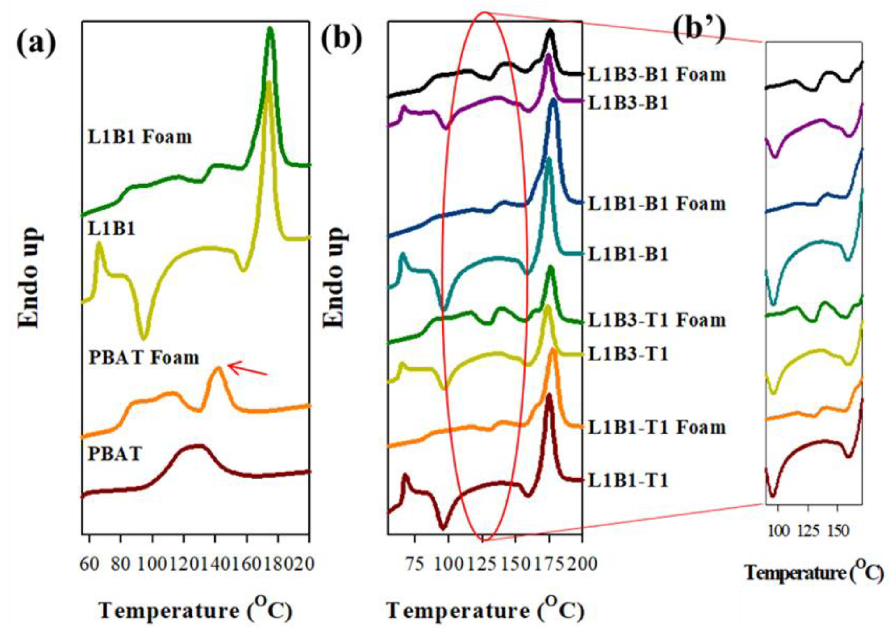 Polymers 16 01971 g010