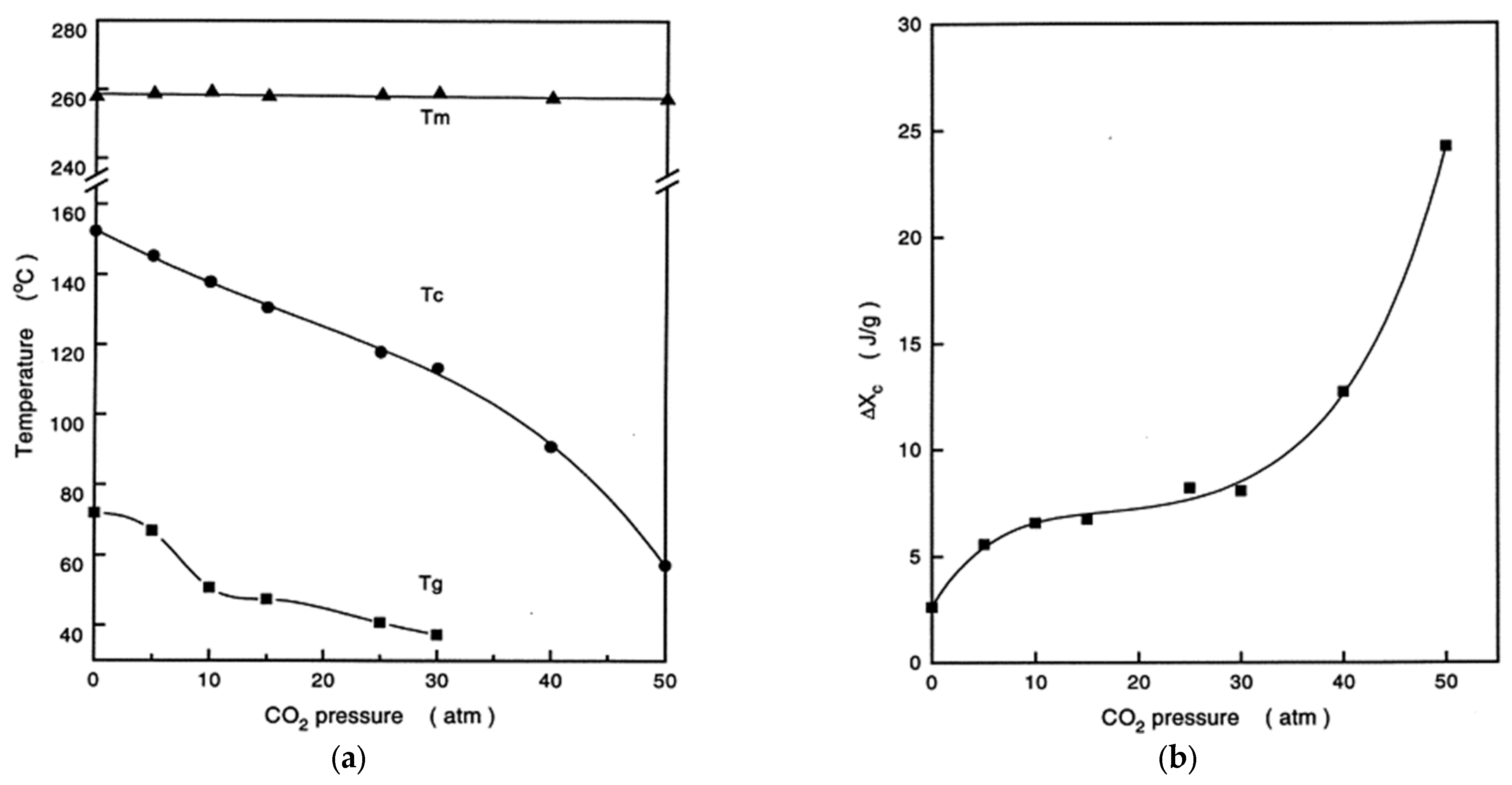 Polymers 16 01975 g008