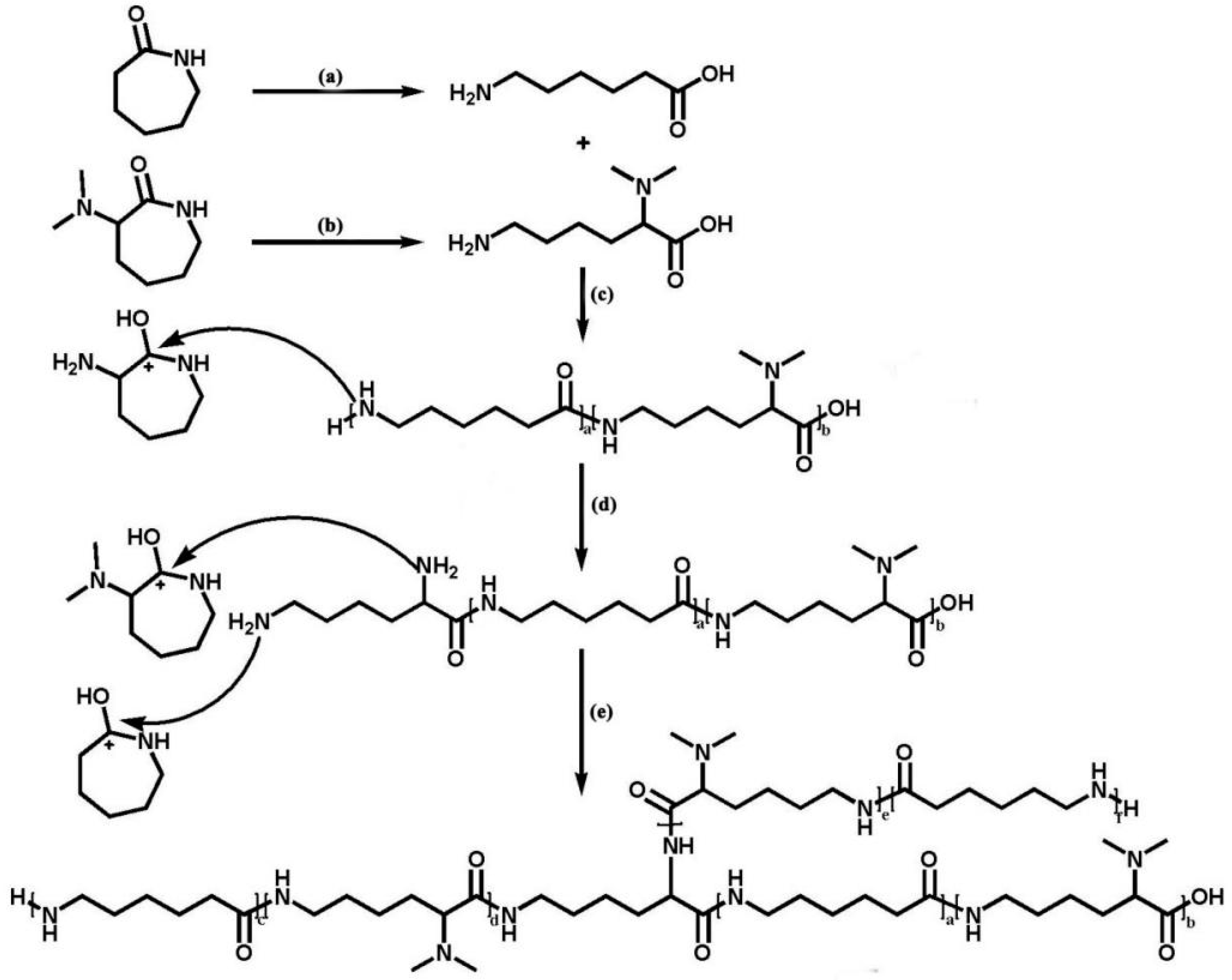 Polymers 16 01997 g002