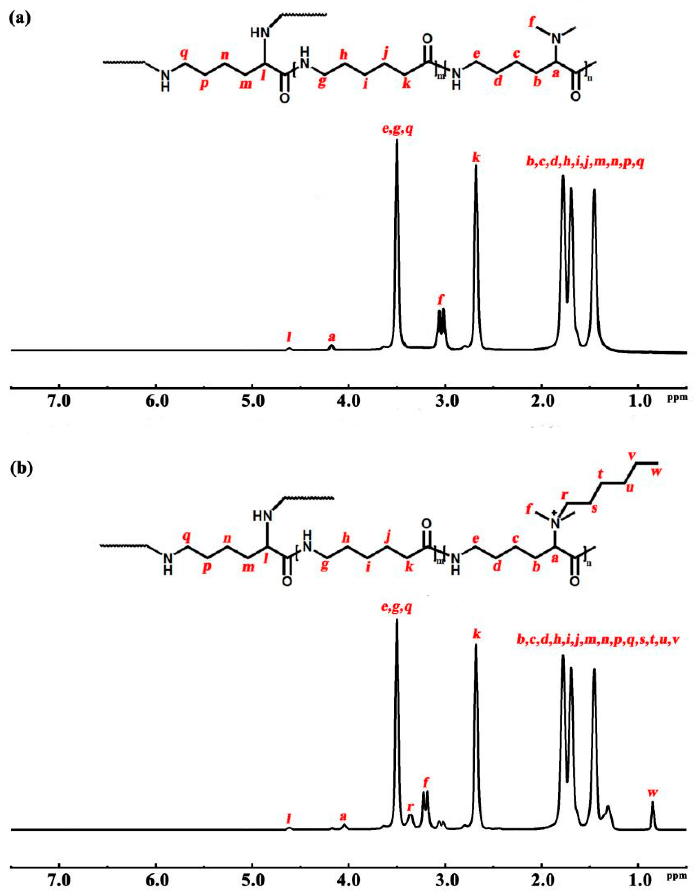 Polymers 16 01997 g003