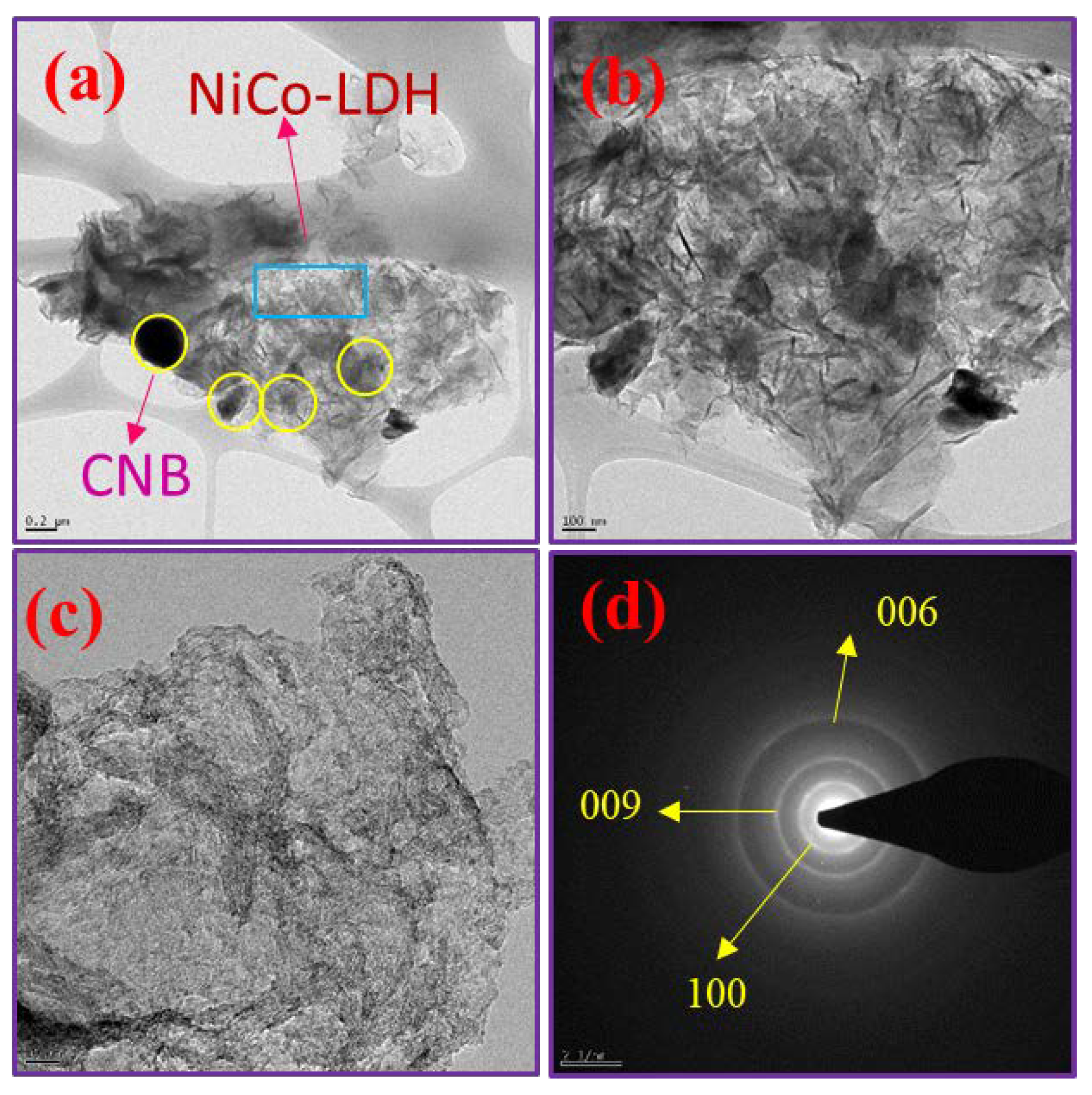 Polymers 16 02005 g004