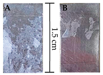 Polymers 16 02006 i001