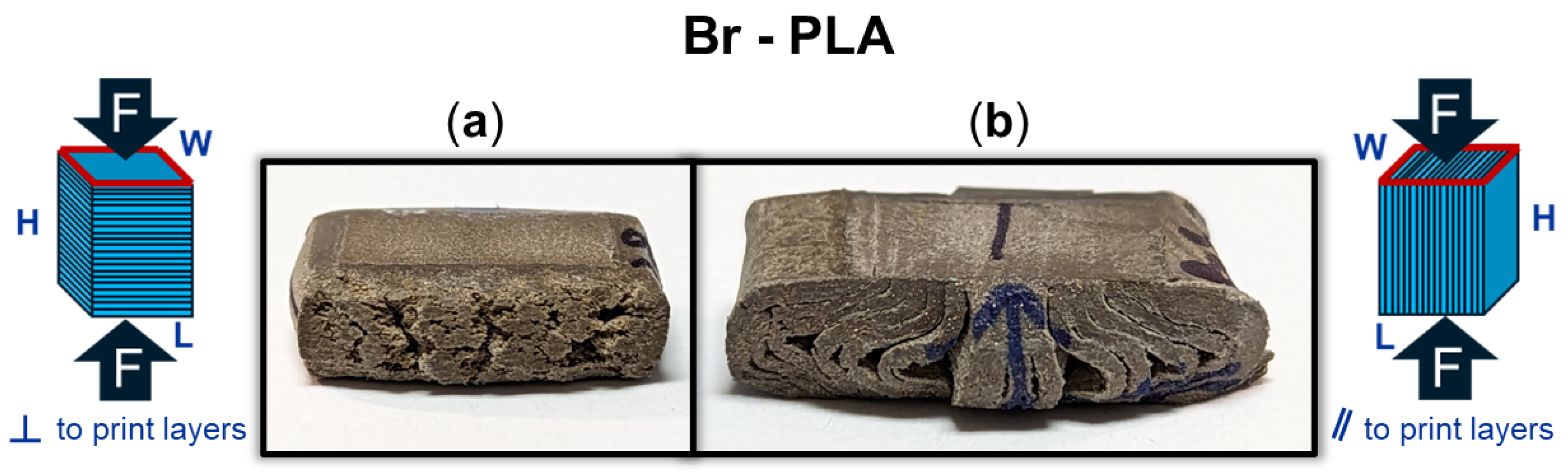 Polymers 16 02008 g008