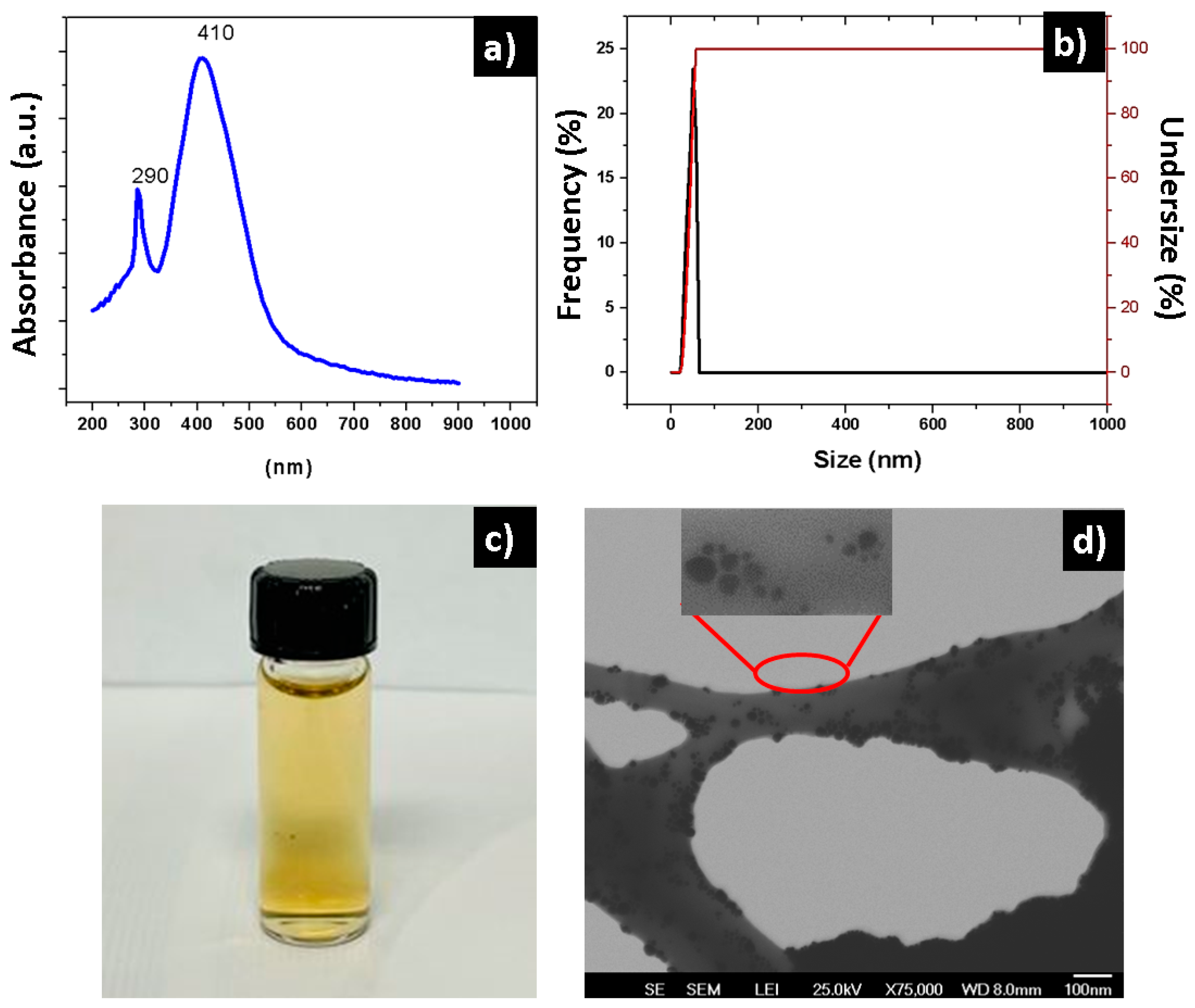 Polymers 16 02017 g002