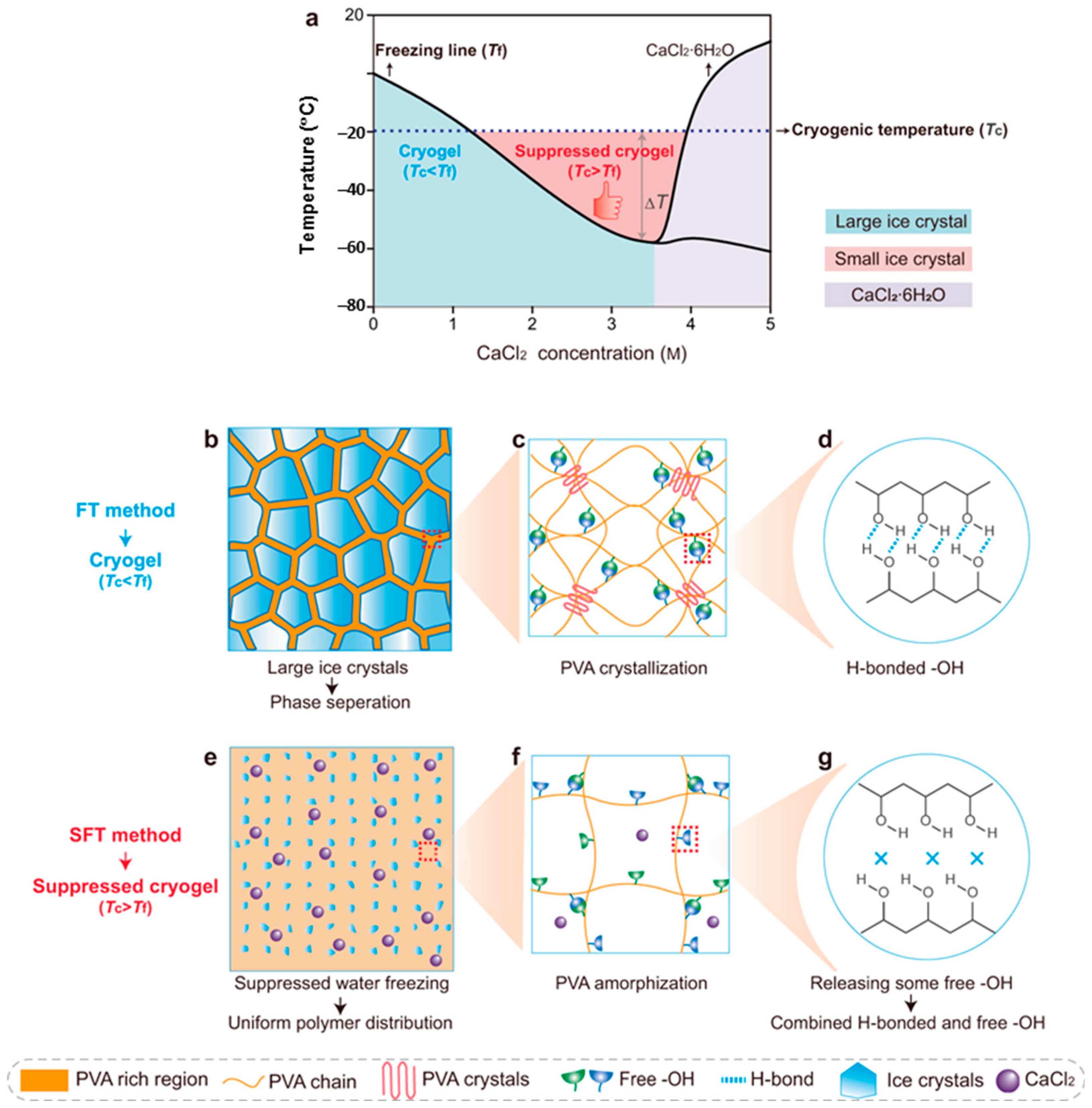 Polymers 16 02021 g005